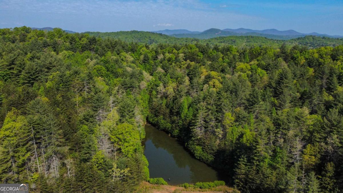 80 Acres Valley Lake Road Property Photo 53
