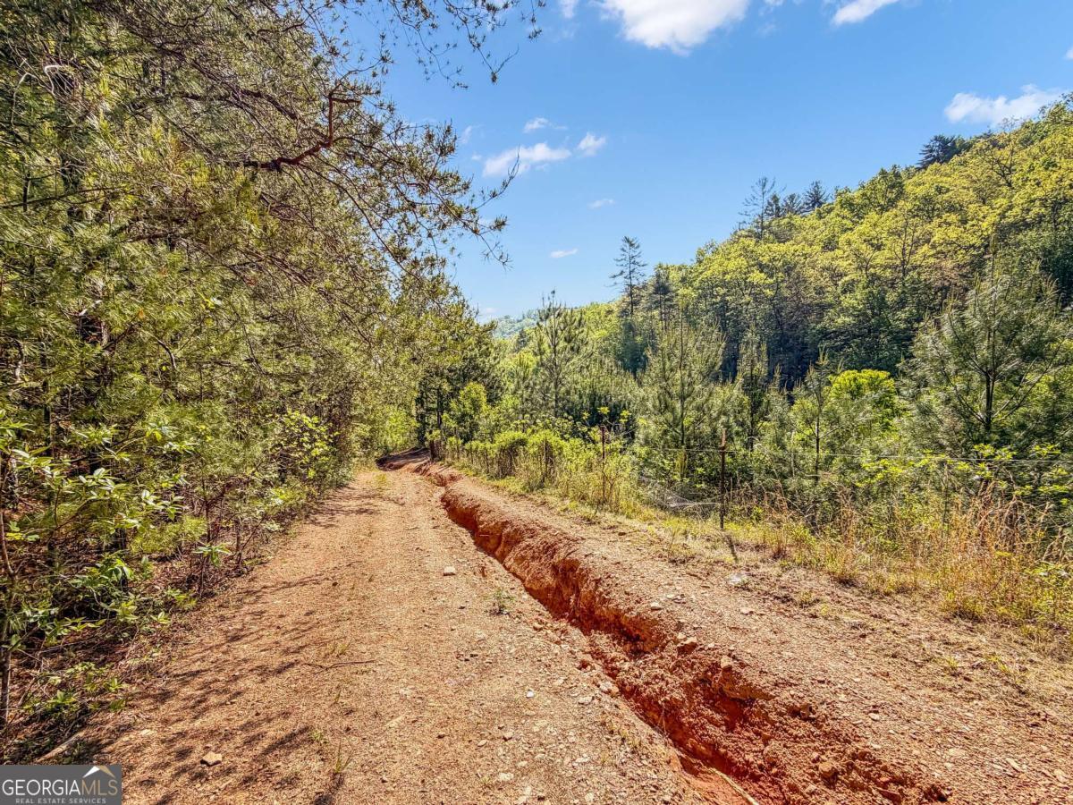 80 Acres Valley Lake Road Property Photo 54