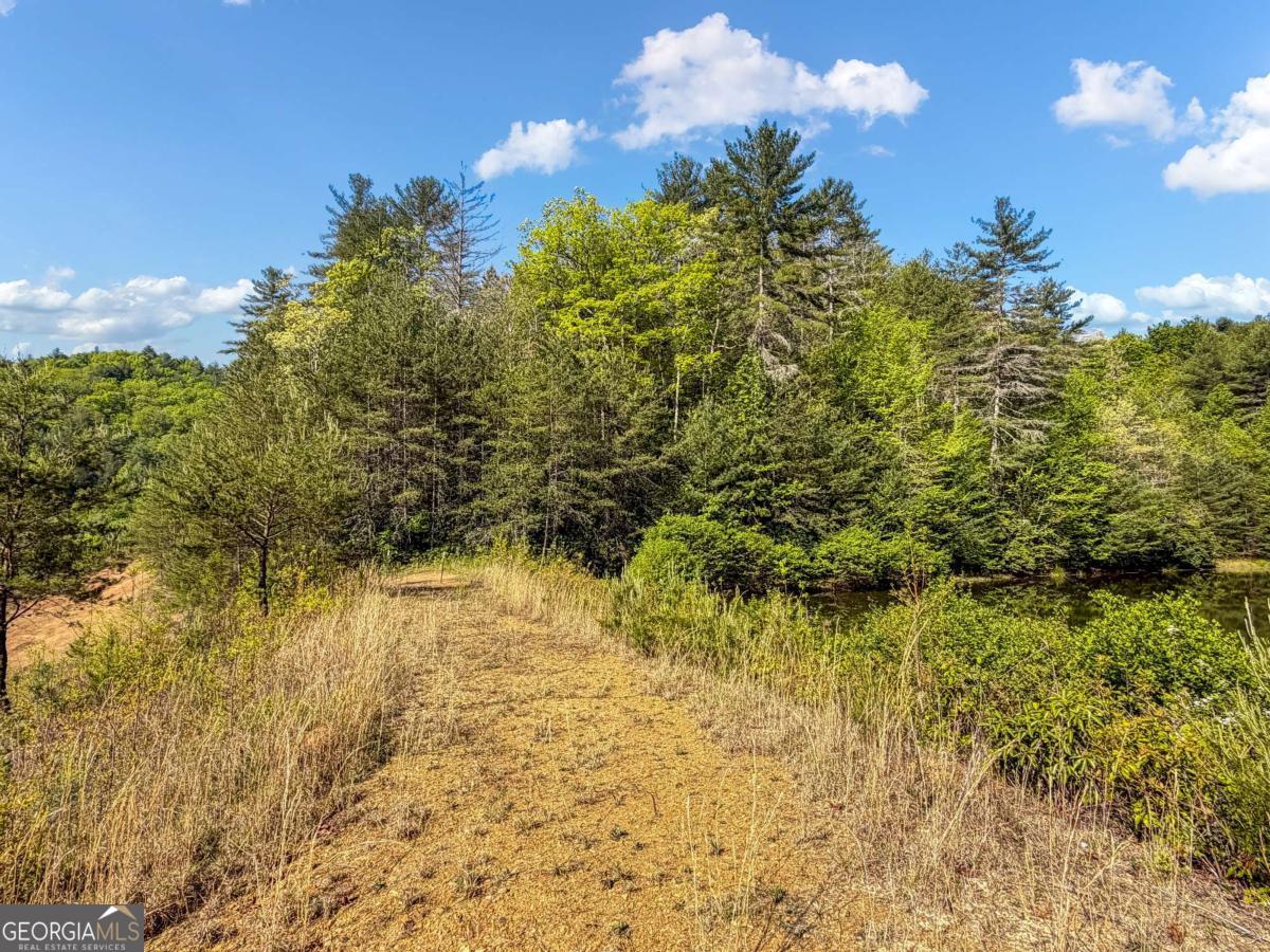 80 Acres Valley Lake Road Property Photo 55
