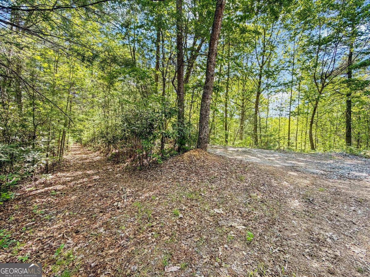80 Acres Valley Lake Road Property Photo 56