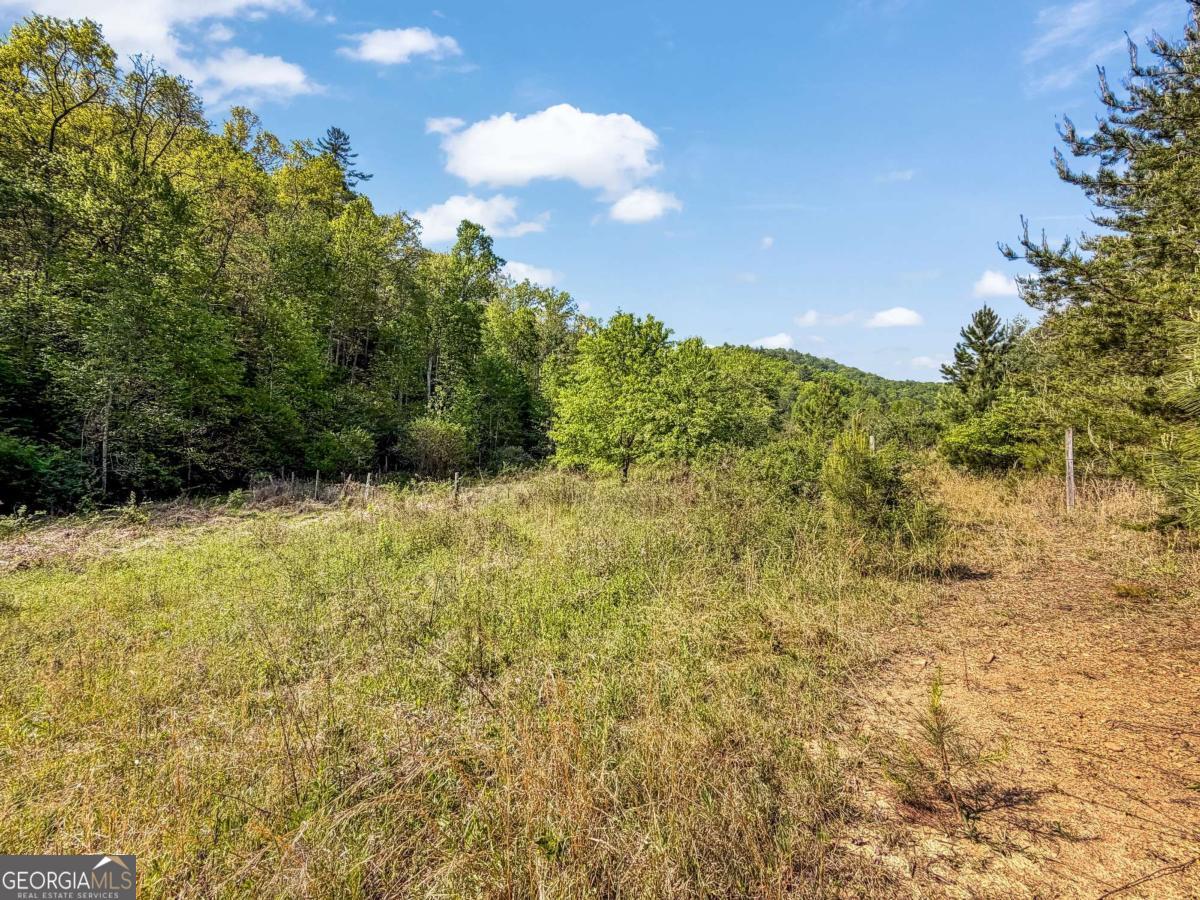 80 Acres Valley Lake Road Property Photo 57