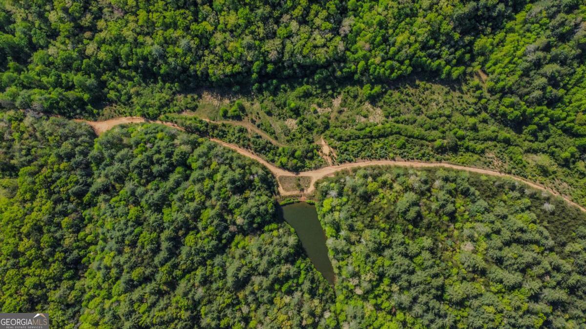 80 Acres Valley Lake Road Property Photo 58