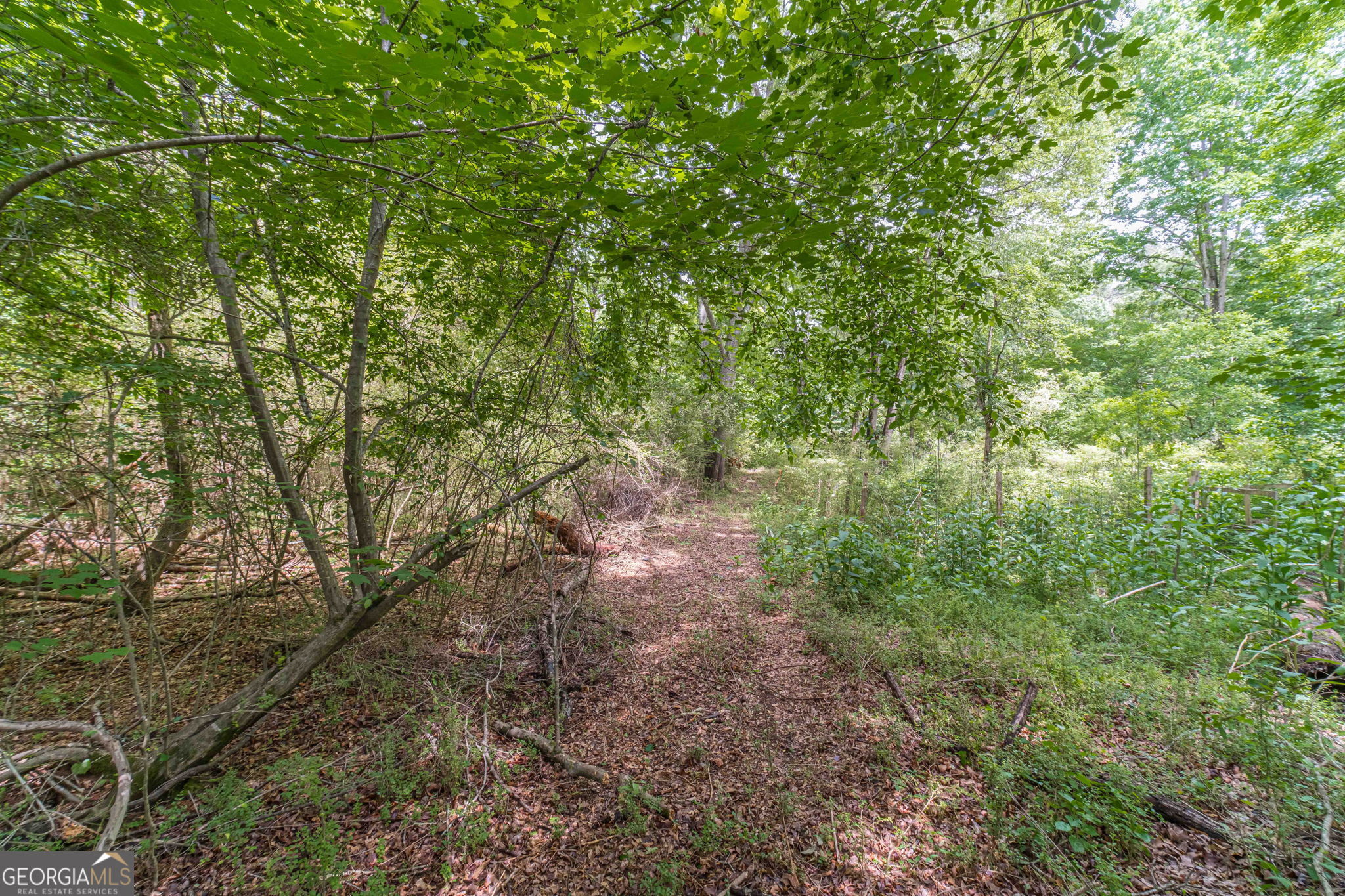 4285 Bending River Trail Sw Property Photo 18