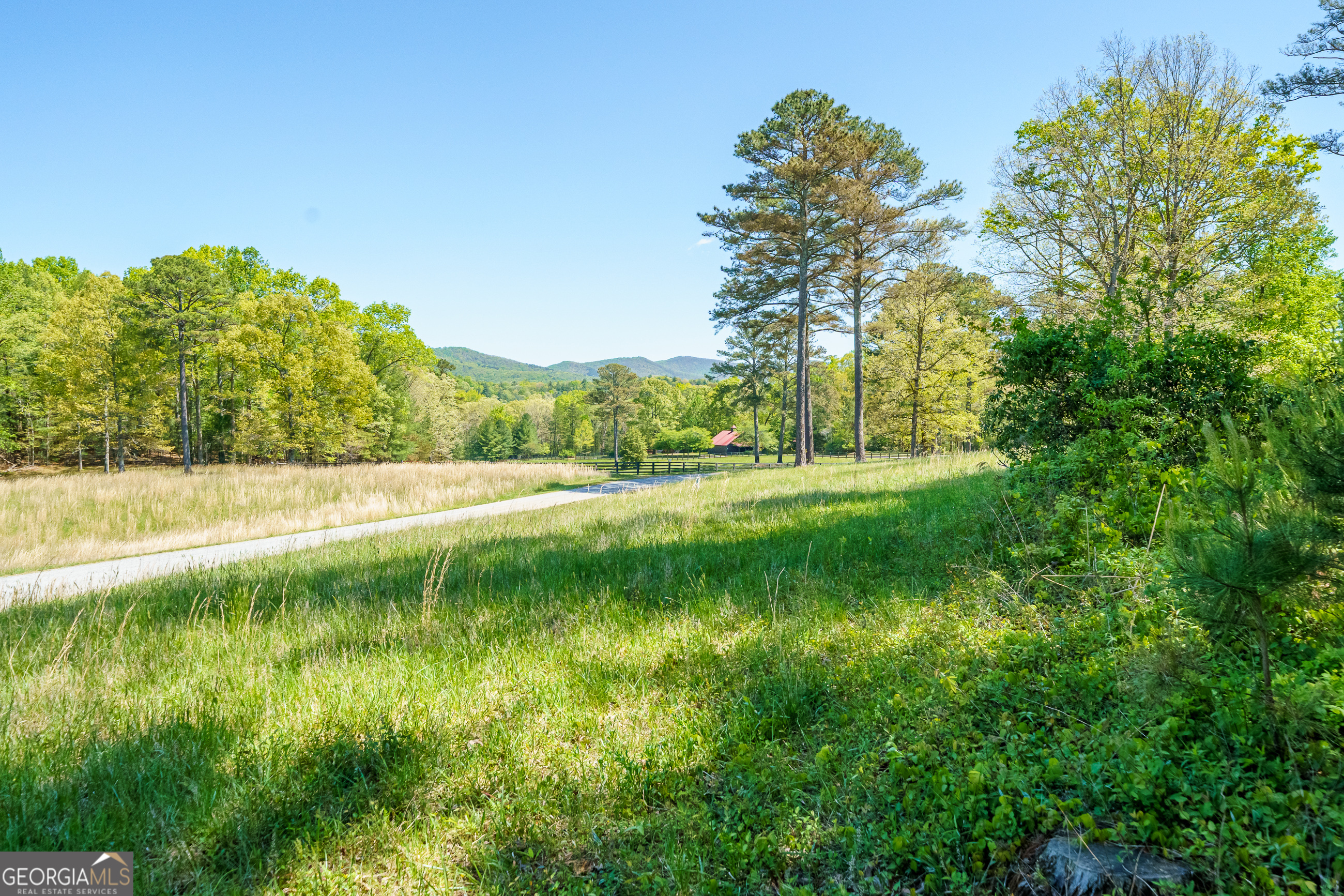 Lot 3 Spring Camp Road Property Photo 3