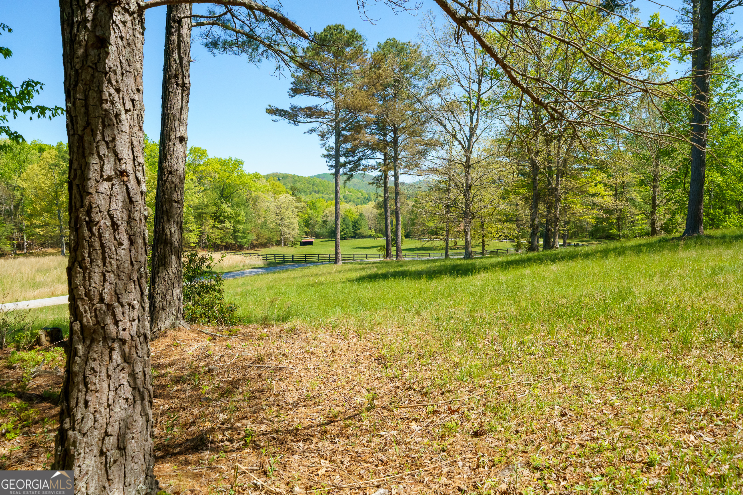 Lot 3 Spring Camp Road Property Photo 4