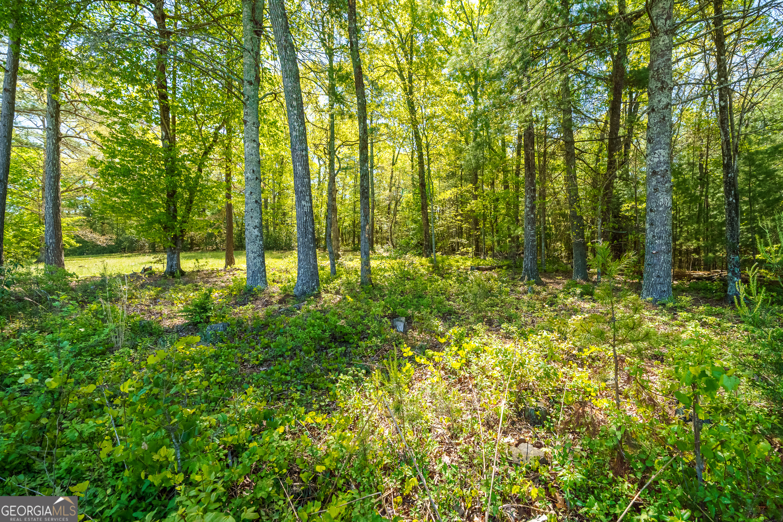 Lot 3 Spring Camp Road Property Photo 7
