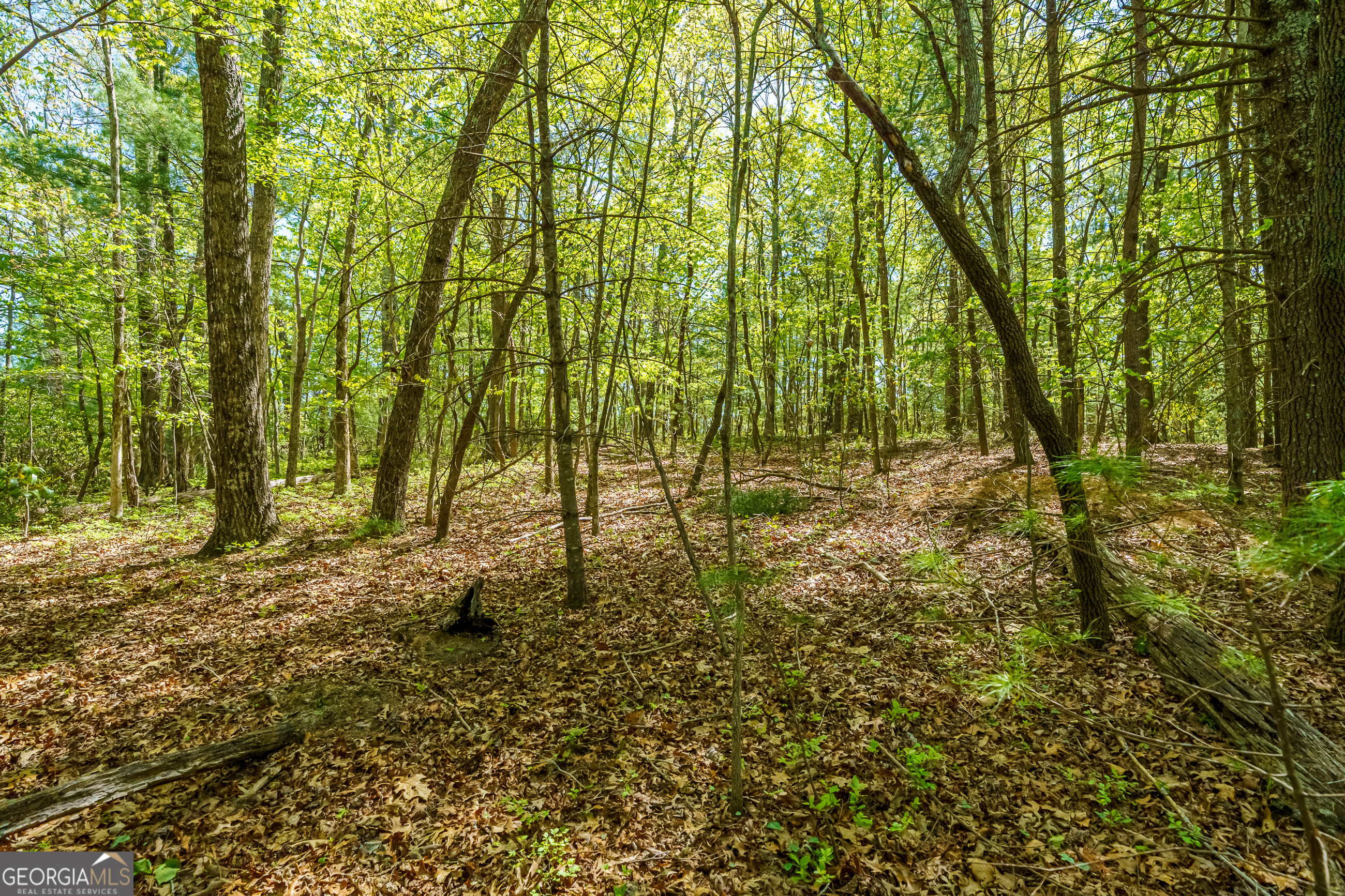Lot 3 Spring Camp Road Property Photo 8