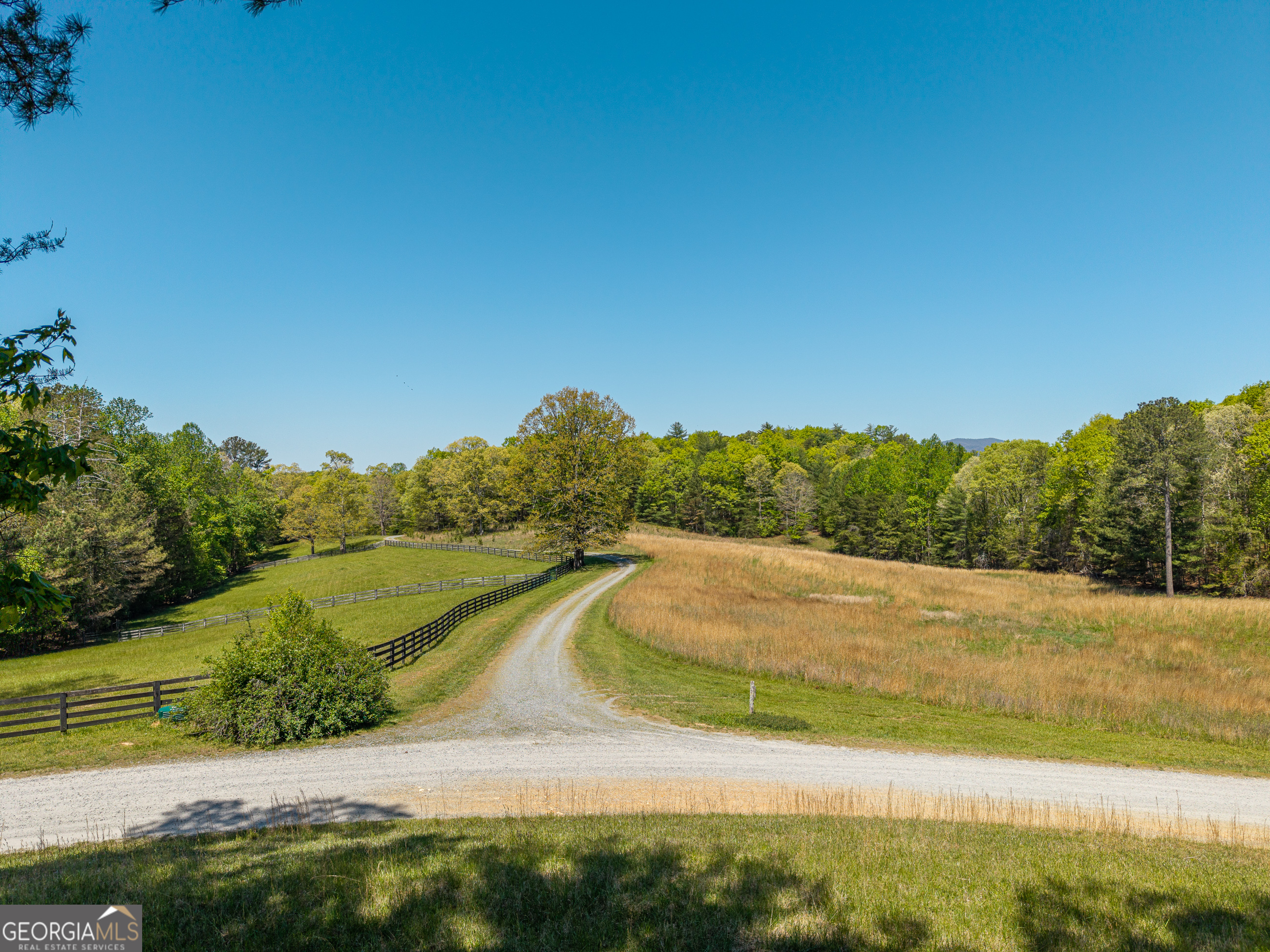 Lot 3 Spring Camp Road Property Photo 10