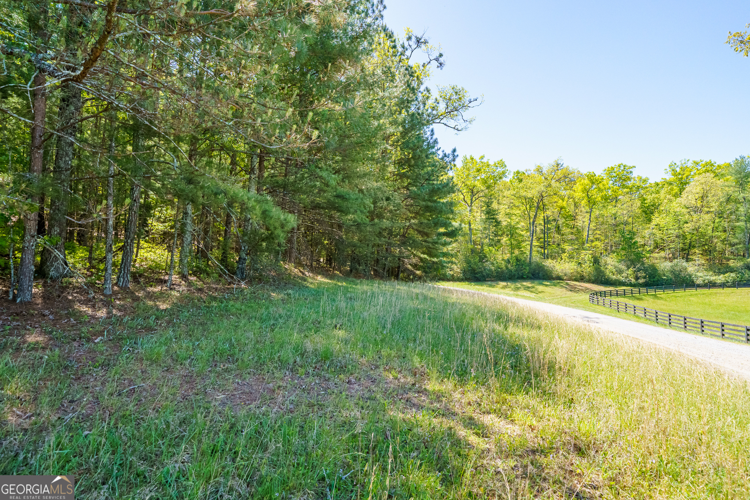 Lot 3 Spring Camp Road Property Photo 13