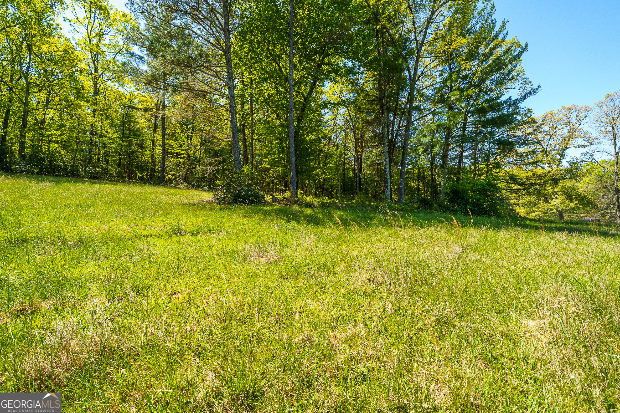 Lot 3 Spring Camp Road Property Photo 14