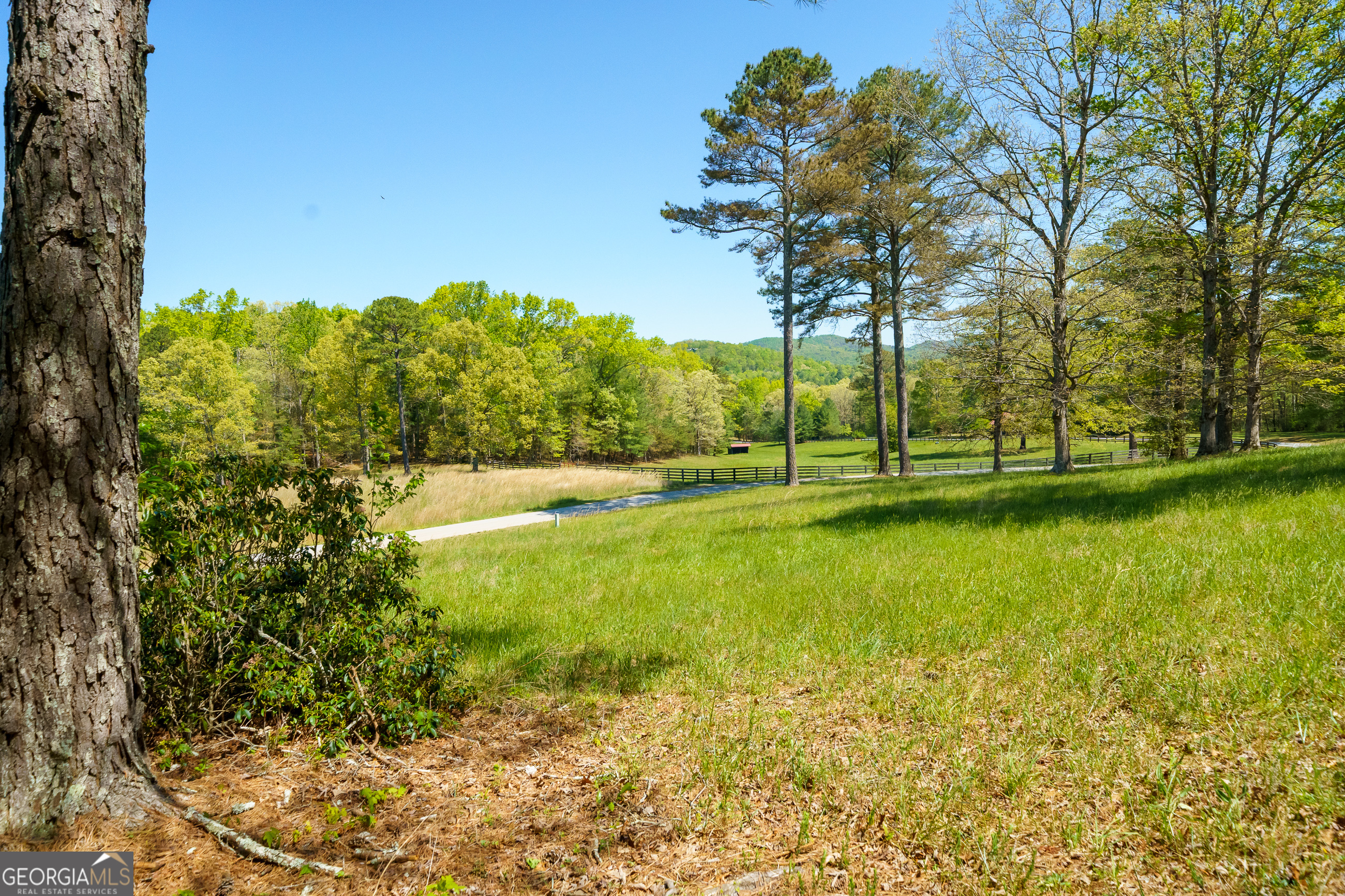 Lot 3 Spring Camp Road Property Photo 15