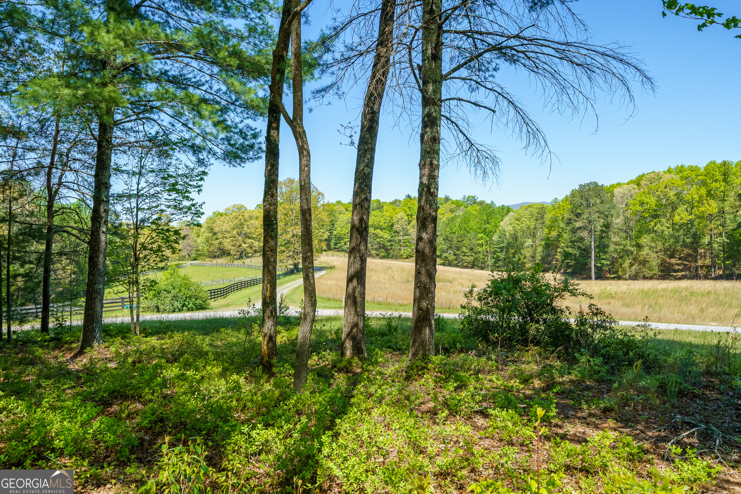 Lot 3 Spring Camp Road Property Photo 16