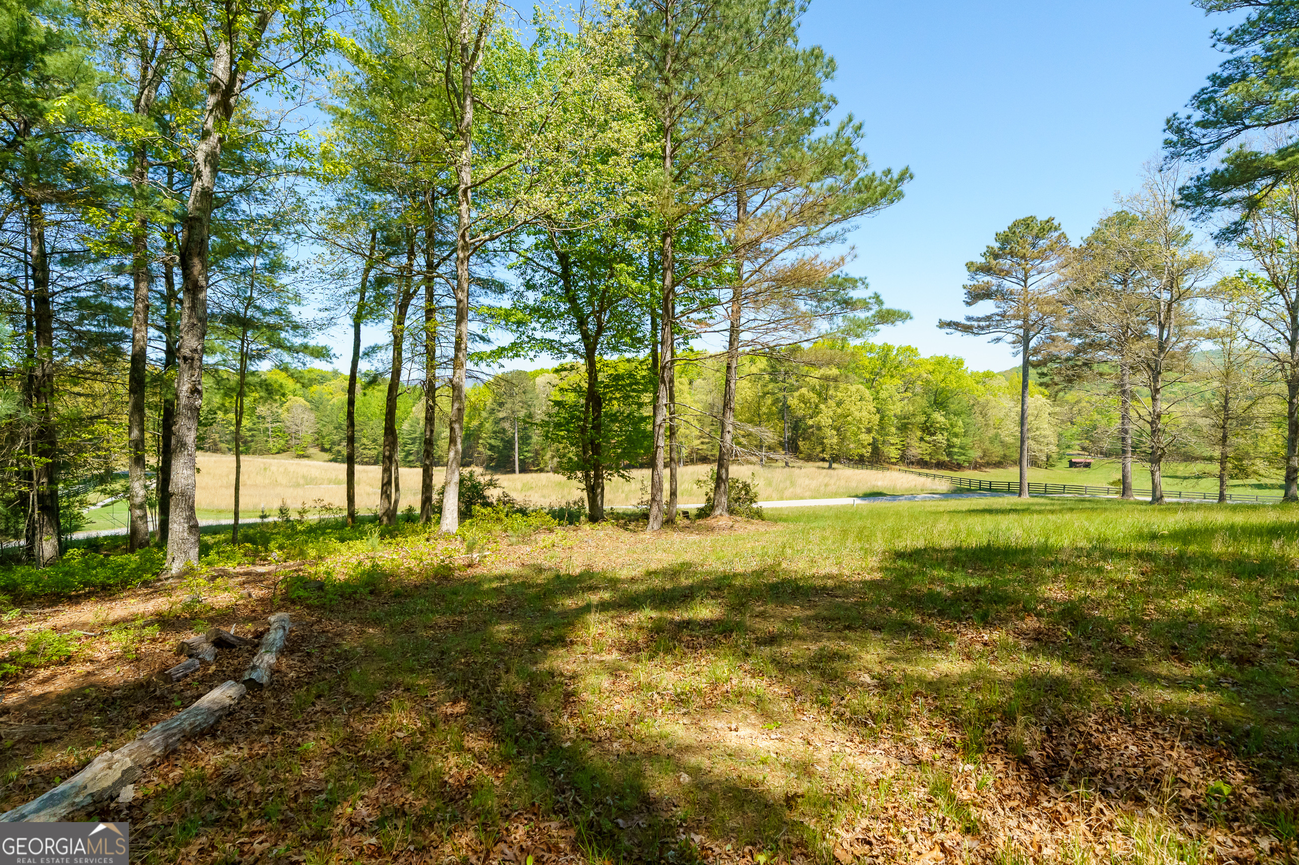 Lot 3 Spring Camp Road Property Photo 17