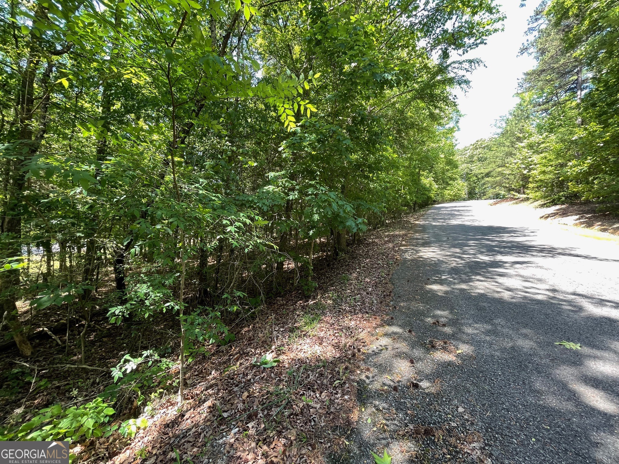 Lot 1 Chalcrest Way Property Photo 8