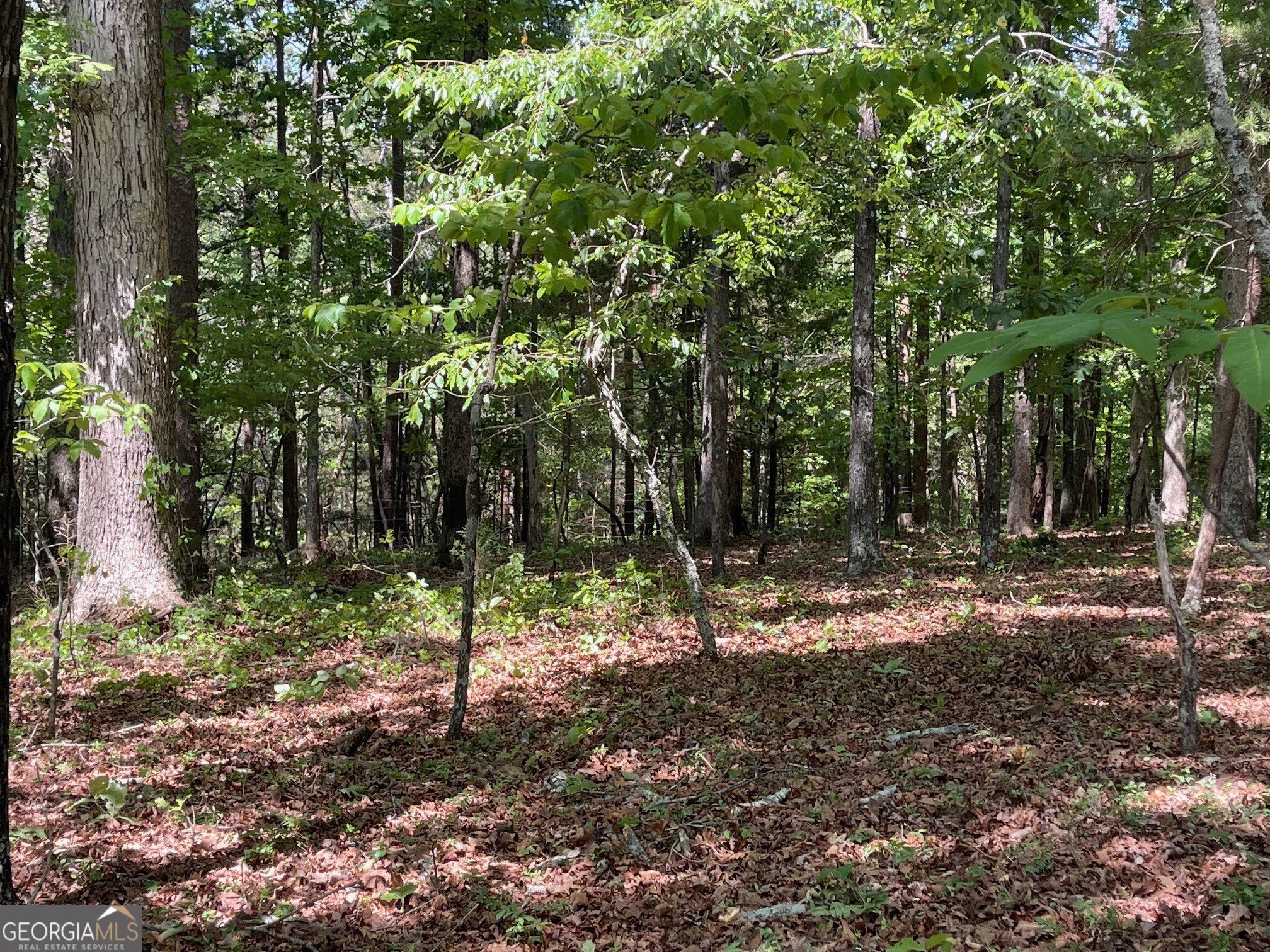 Lot 1 Chalcrest Way Property Photo 11