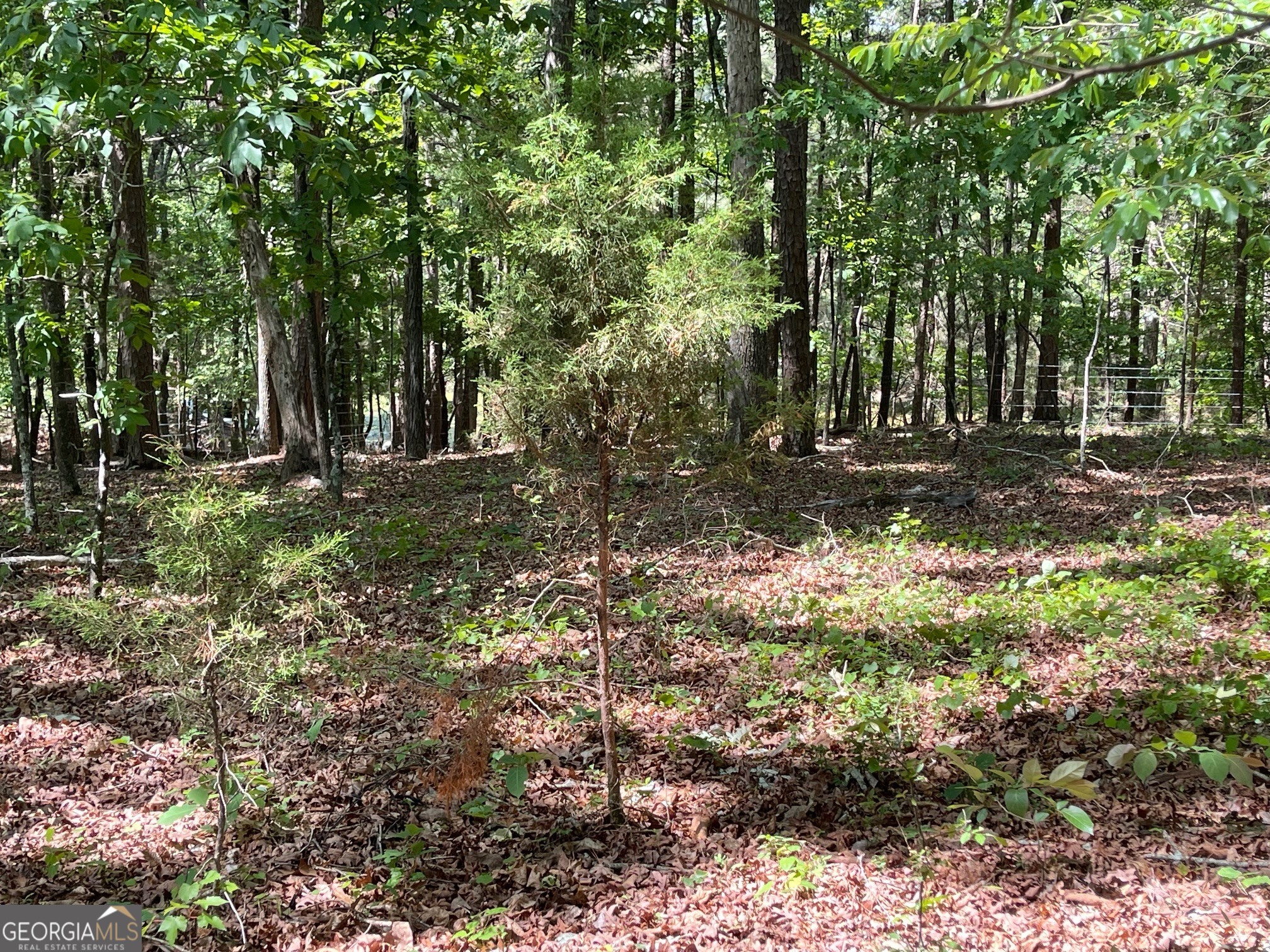Lot 1 Chalcrest Way Property Photo 12
