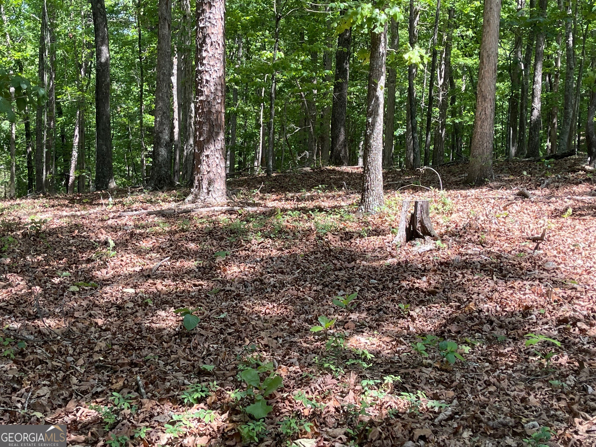 Lot 1 Chalcrest Way Property Photo 20
