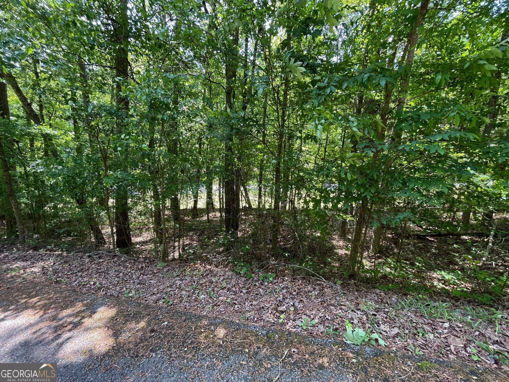 Lot 1 Chalcrest Way Property Photo 22