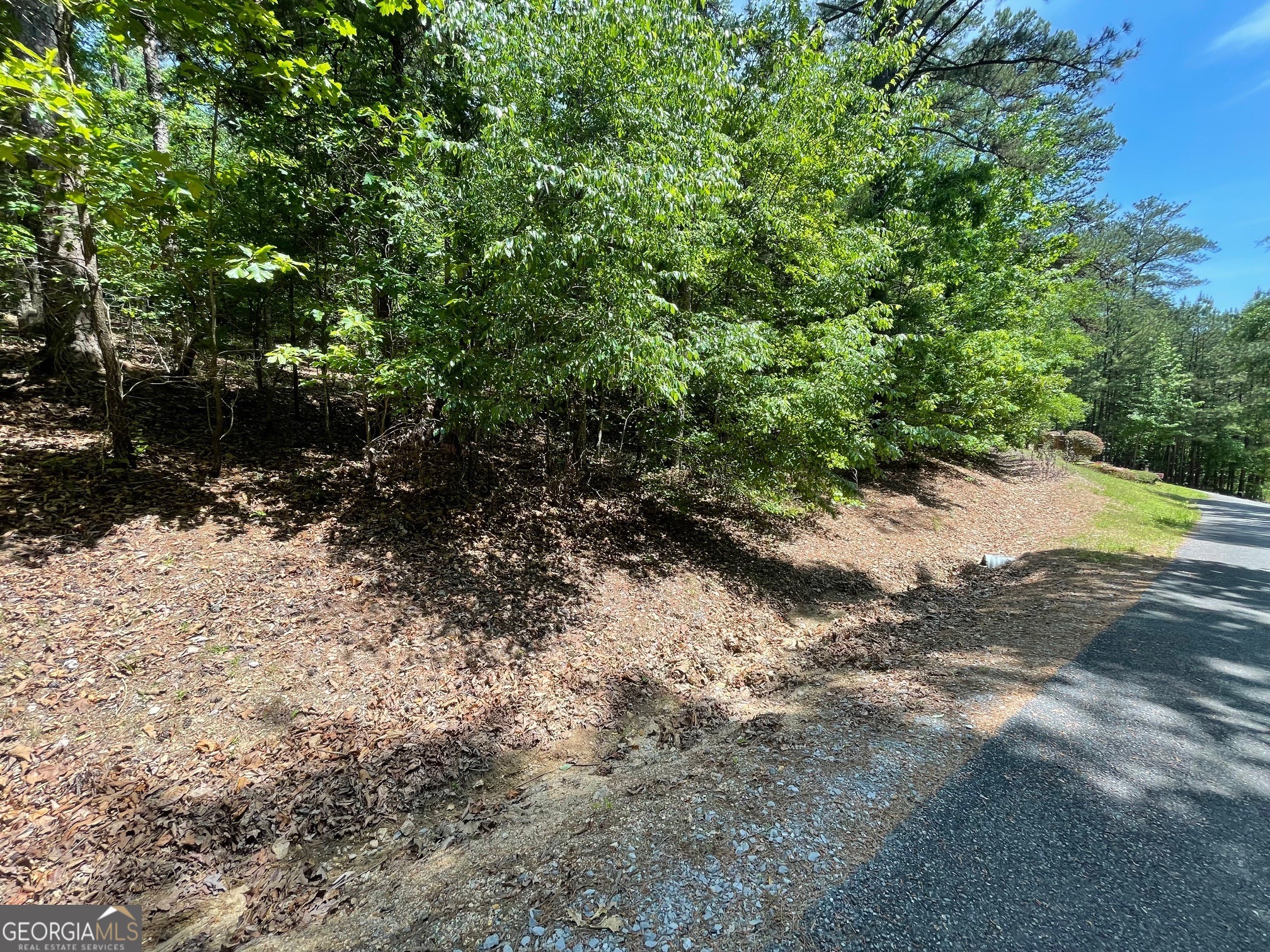 Lot 1 Chalcrest Way Property Photo 23