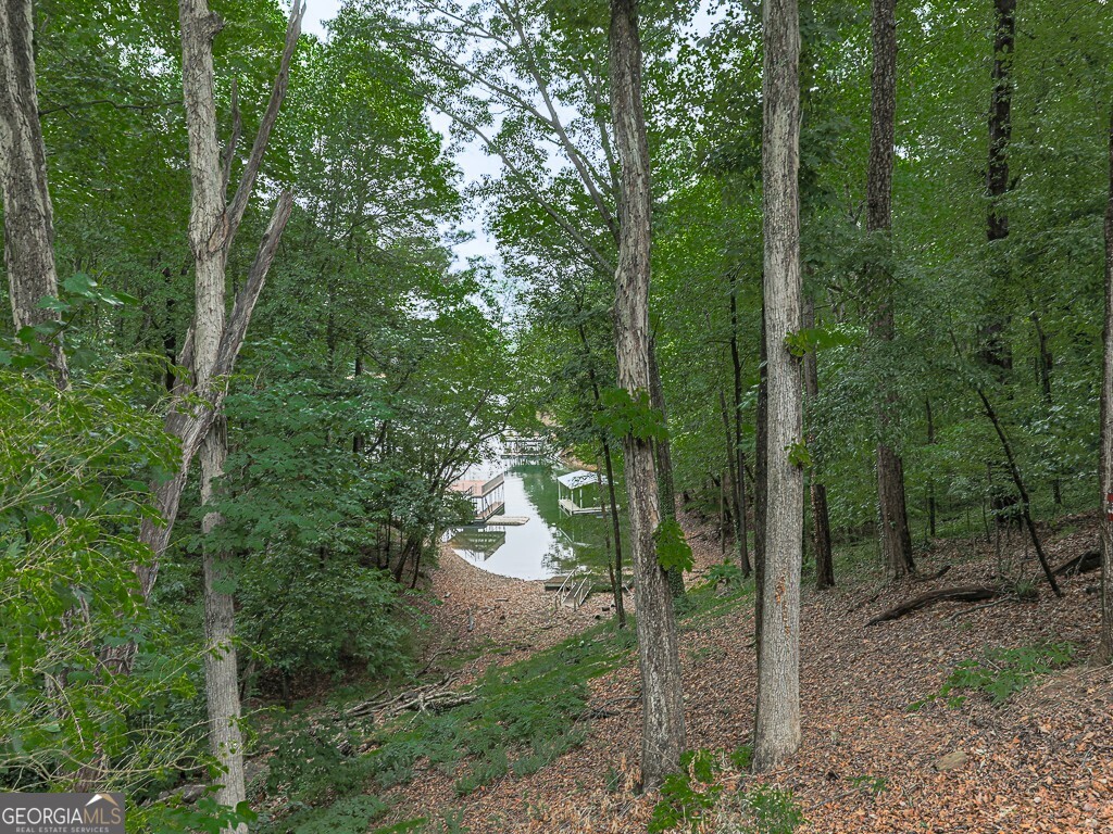 23 Blue Heron Point Property Photo 80