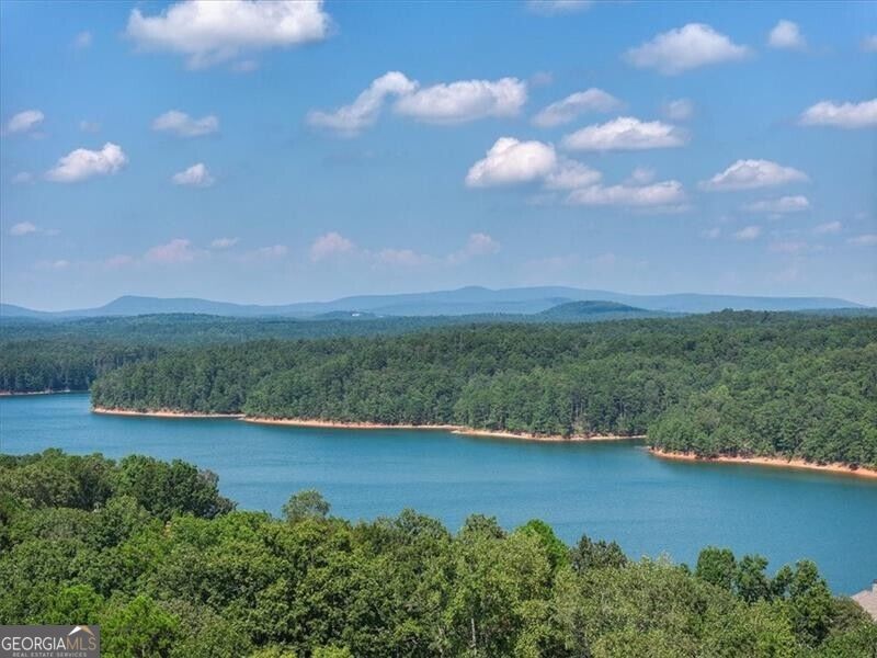 23 Blue Heron Point Property Photo 86