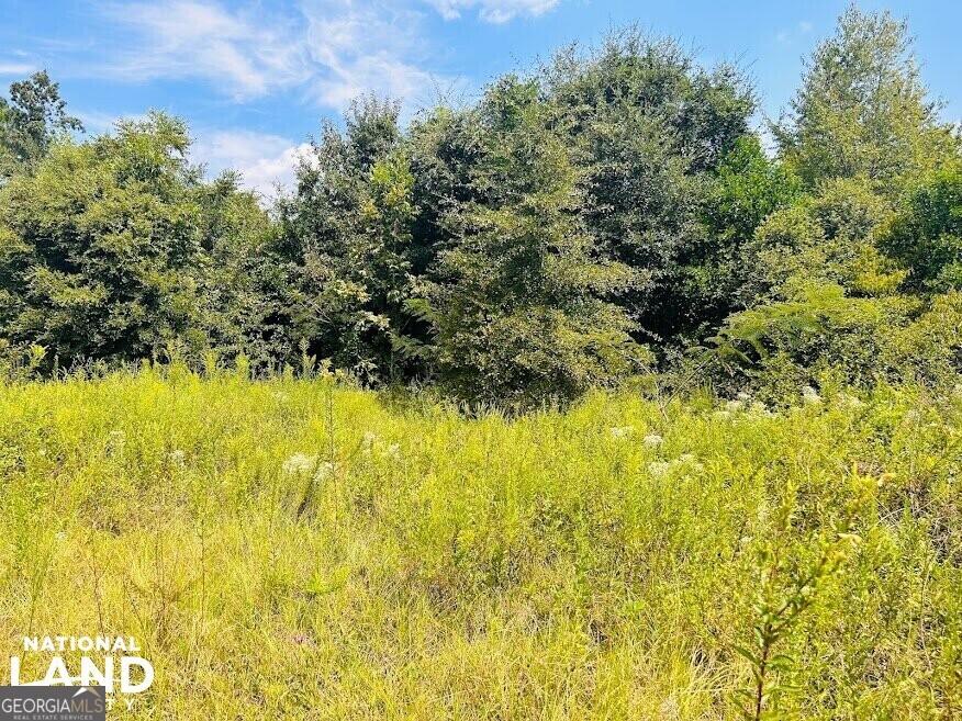 1434 South Mock Road Property Photo 17