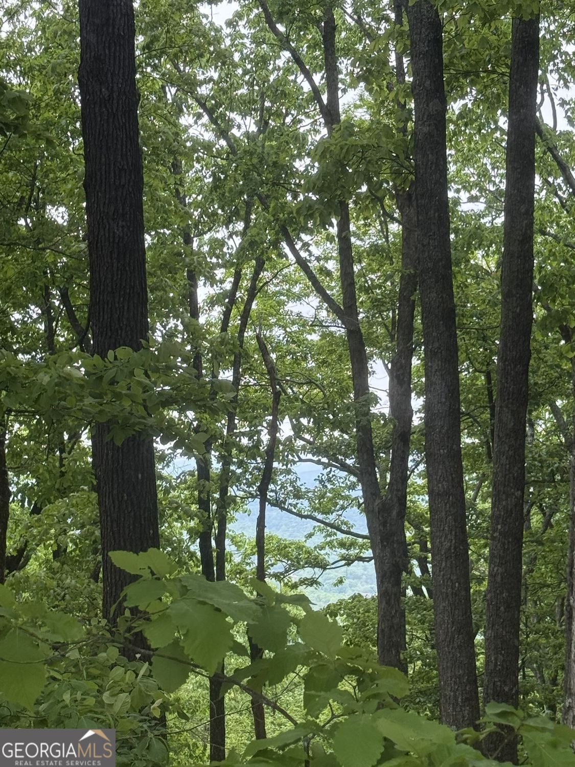 Lot 38 Mountainside Drive Property Photo 3