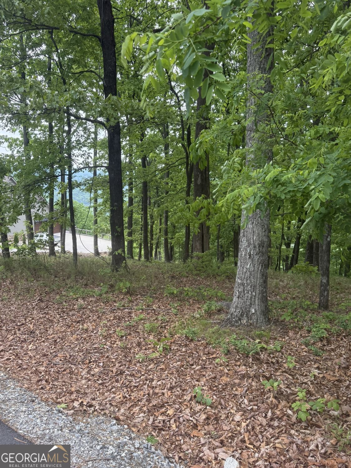 Lot 38 Mountainside Drive Property Photo 4