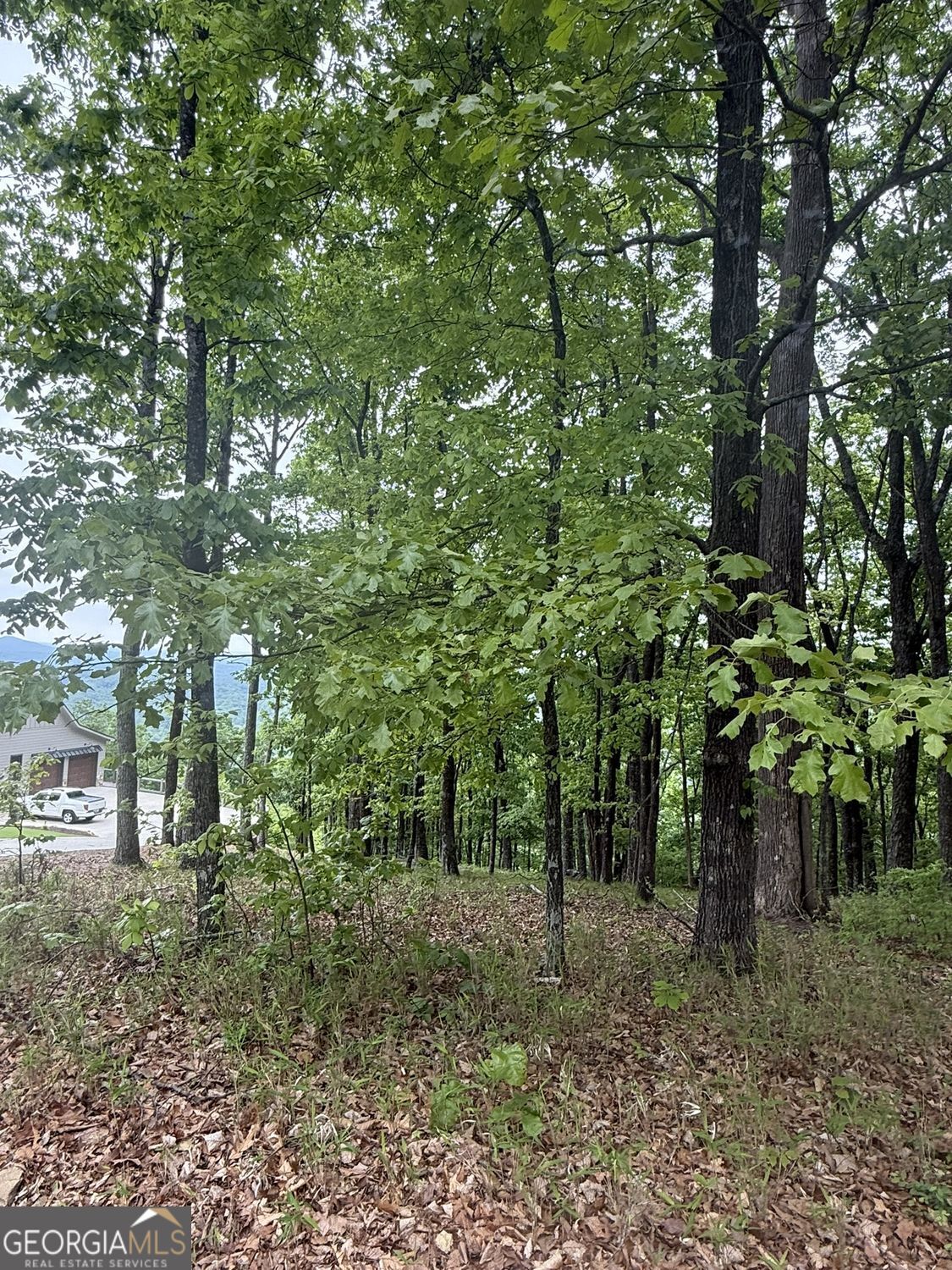Lot 38 Mountainside Drive Property Photo 5