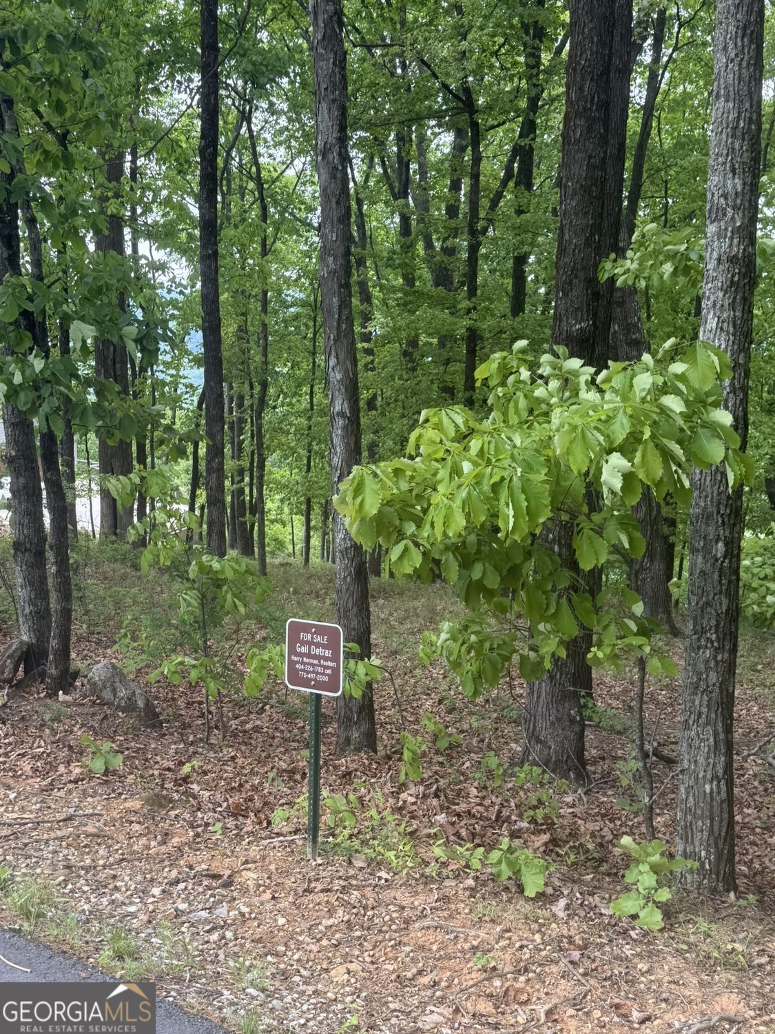 Lot 38 Mountainside Drive Property Photo 8
