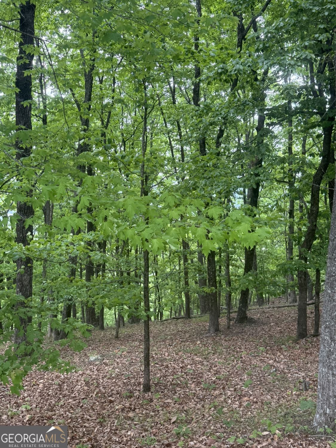 Lot 38 Mountainside Drive Property Photo 9