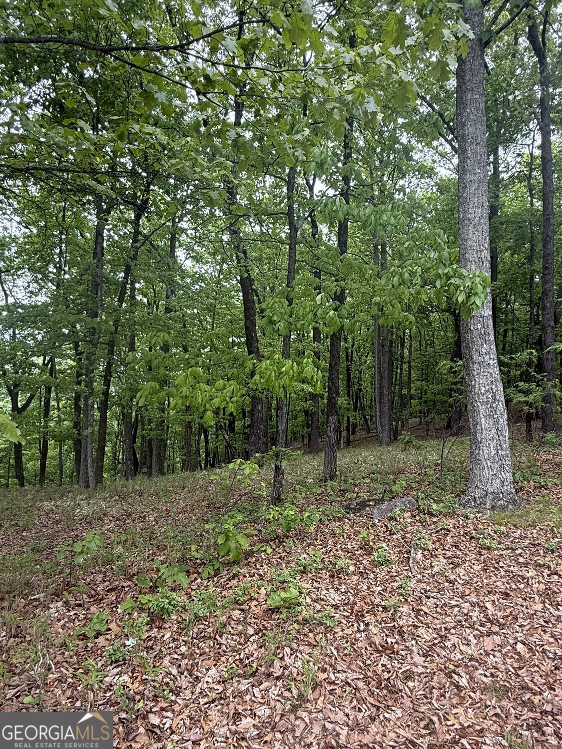 Lot 38 Mountainside Drive Property Photo 12