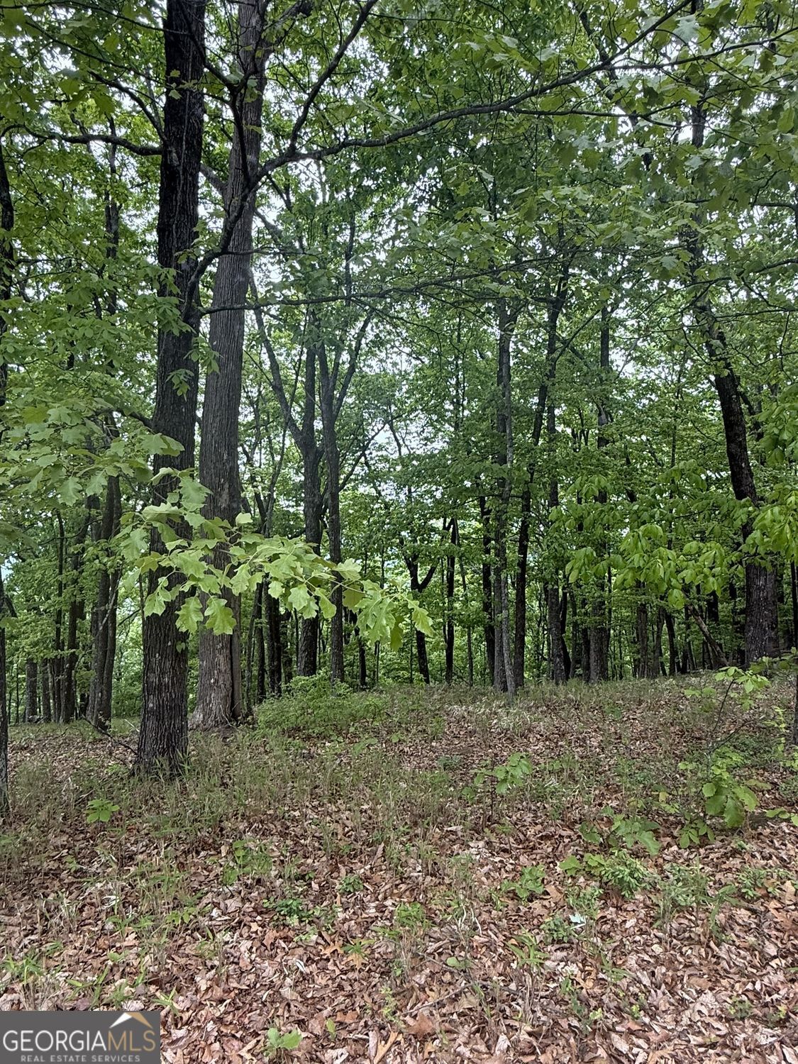 Lot 38 Mountainside Drive Property Photo 13