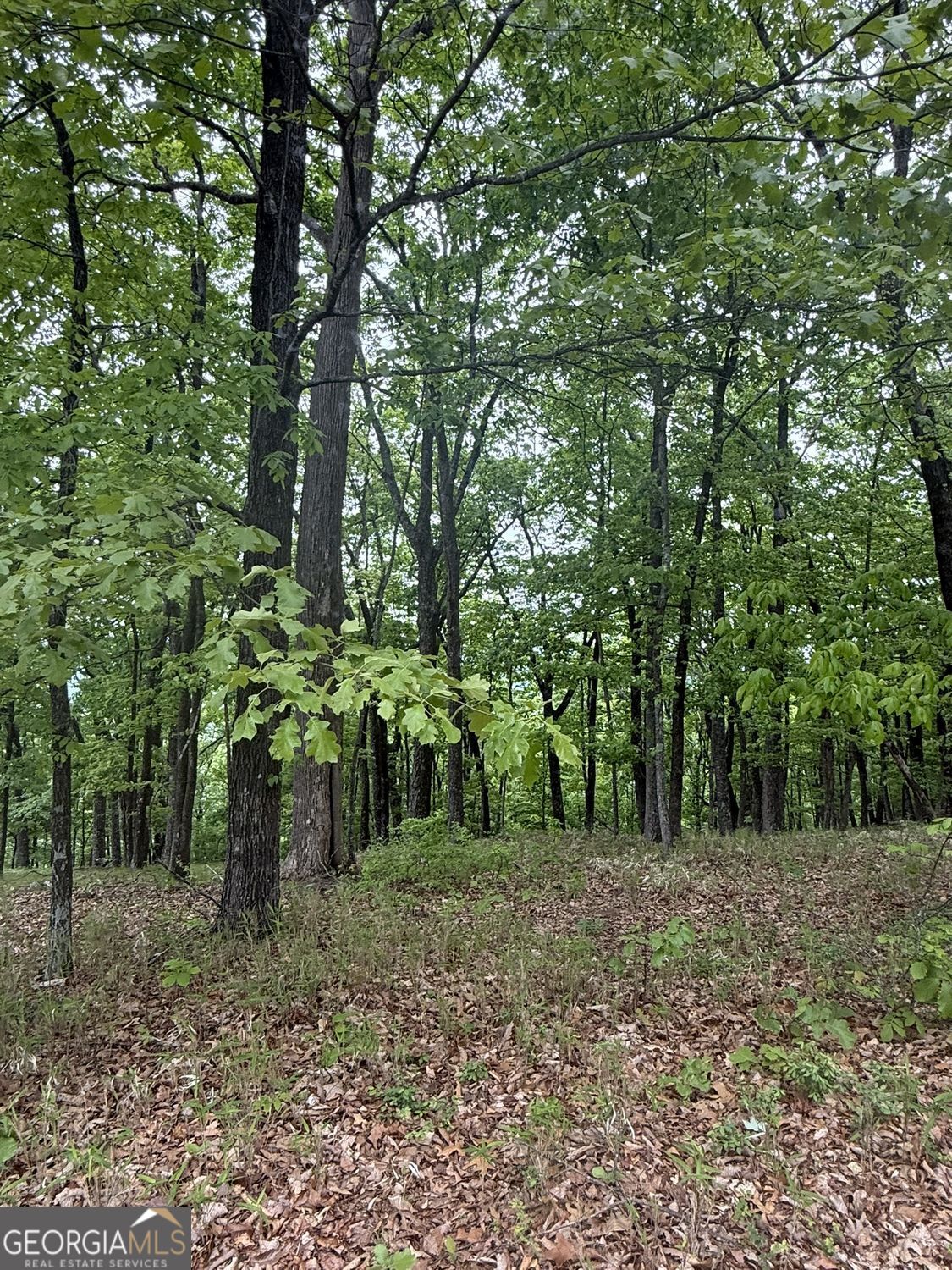 Lot 38 Mountainside Drive Property Photo 14