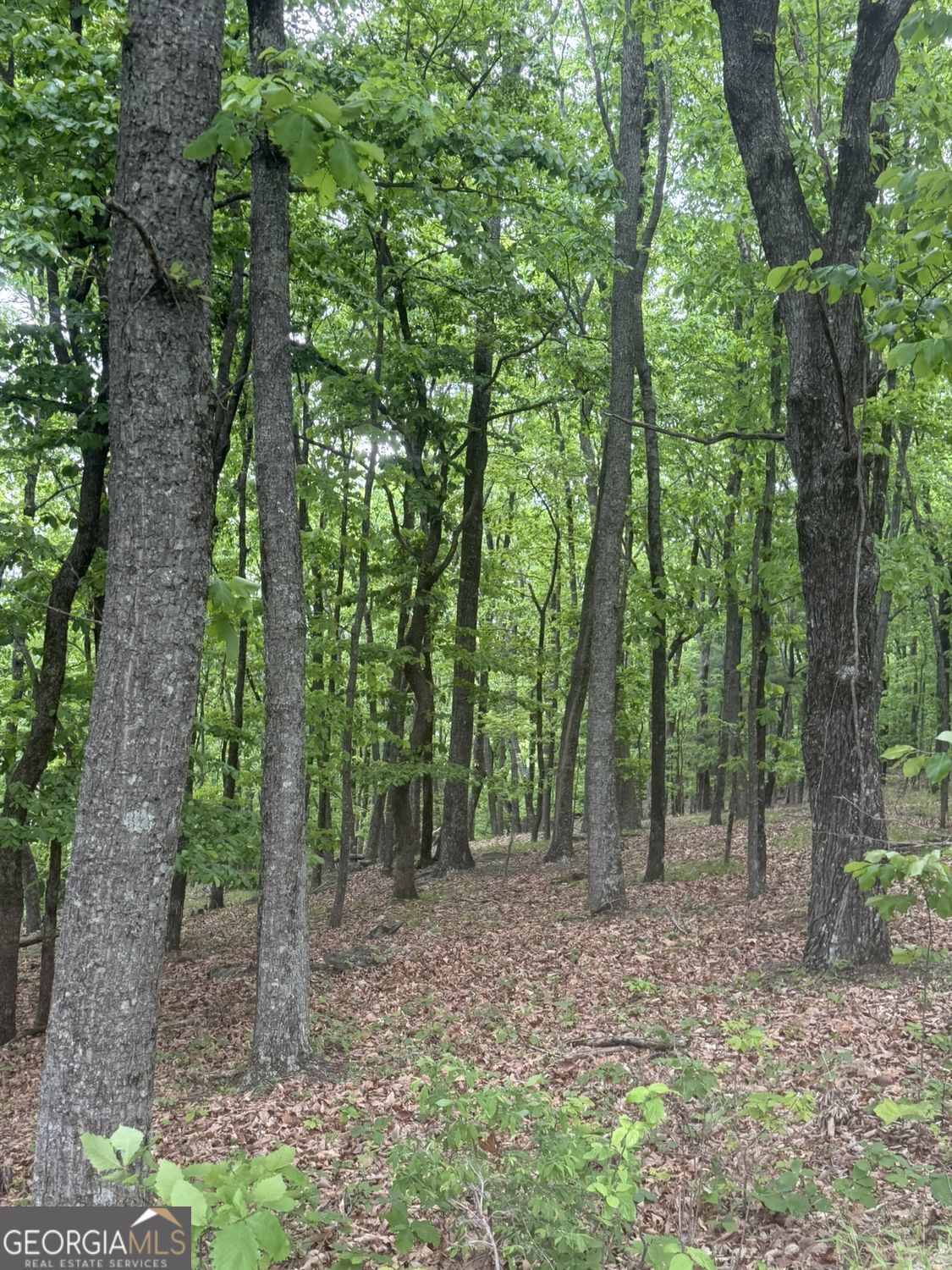 Lot 38 Mountainside Drive Property Photo 15
