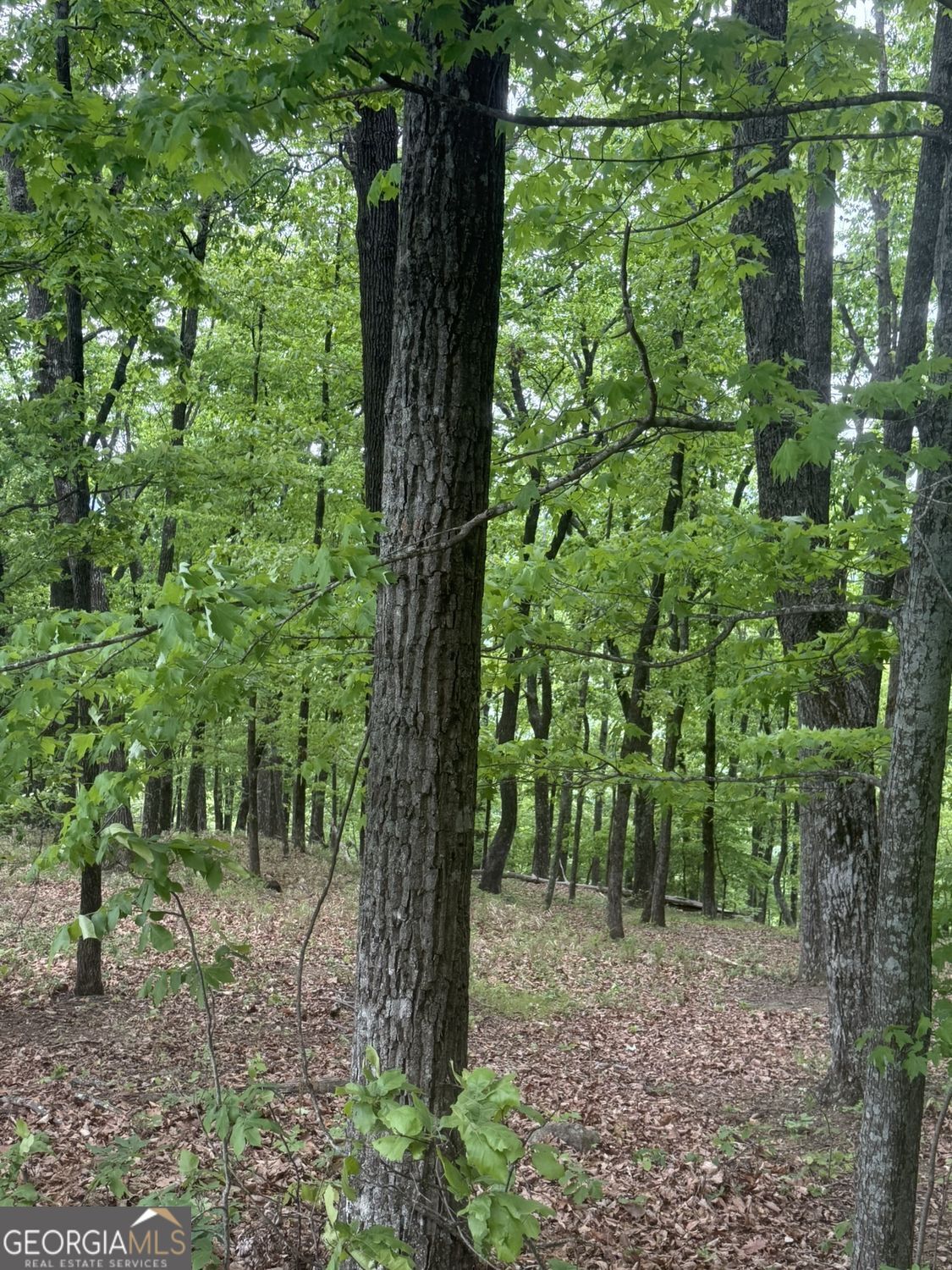 Lot 38 Mountainside Drive Property Photo 16