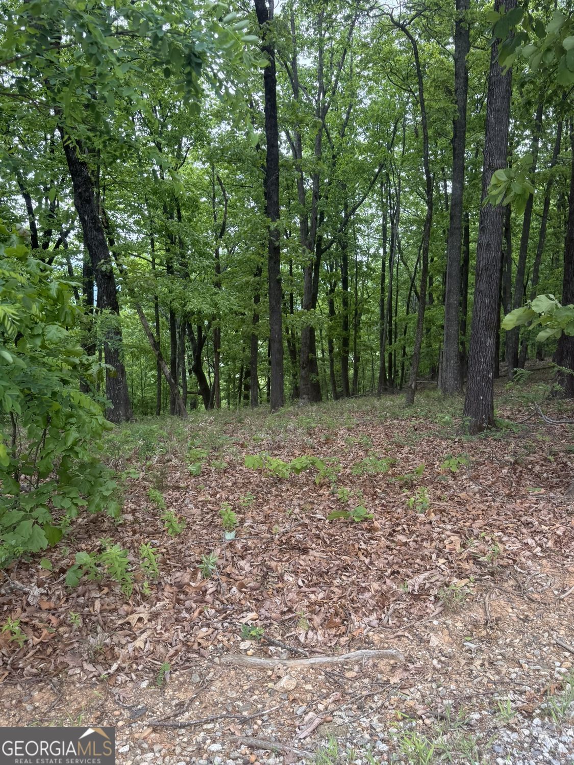 Lot 38 Mountainside Drive Property Photo 17
