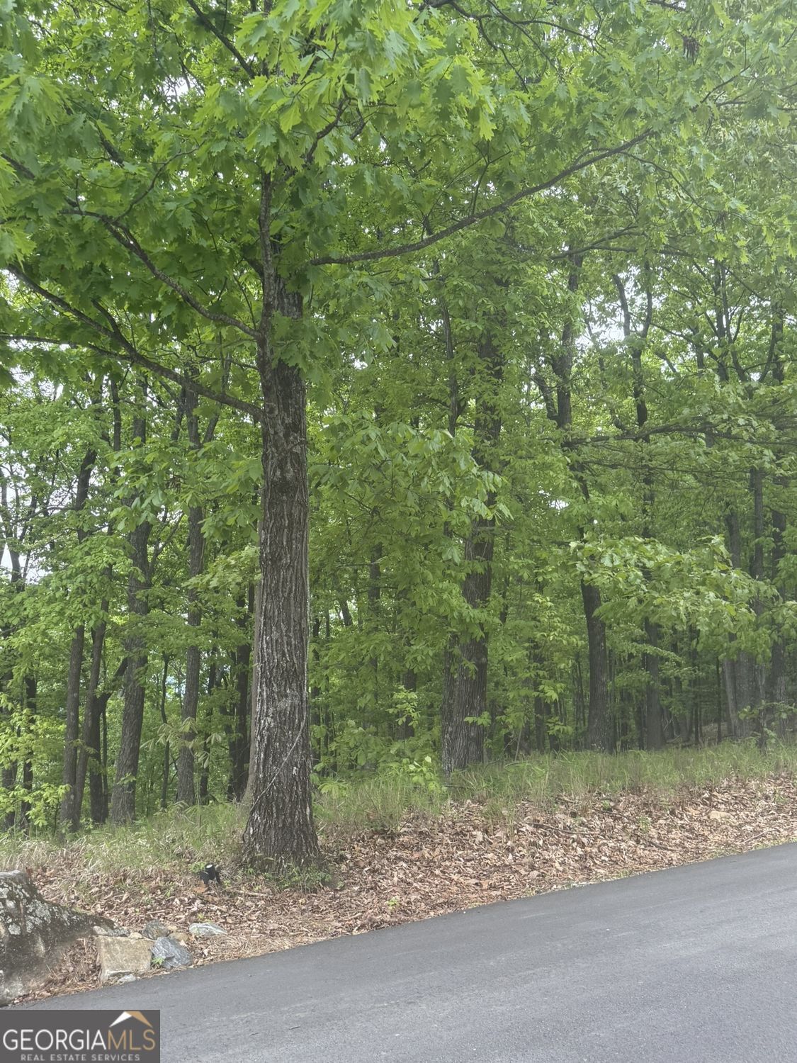 Lot 38 Mountainside Drive Property Photo 18