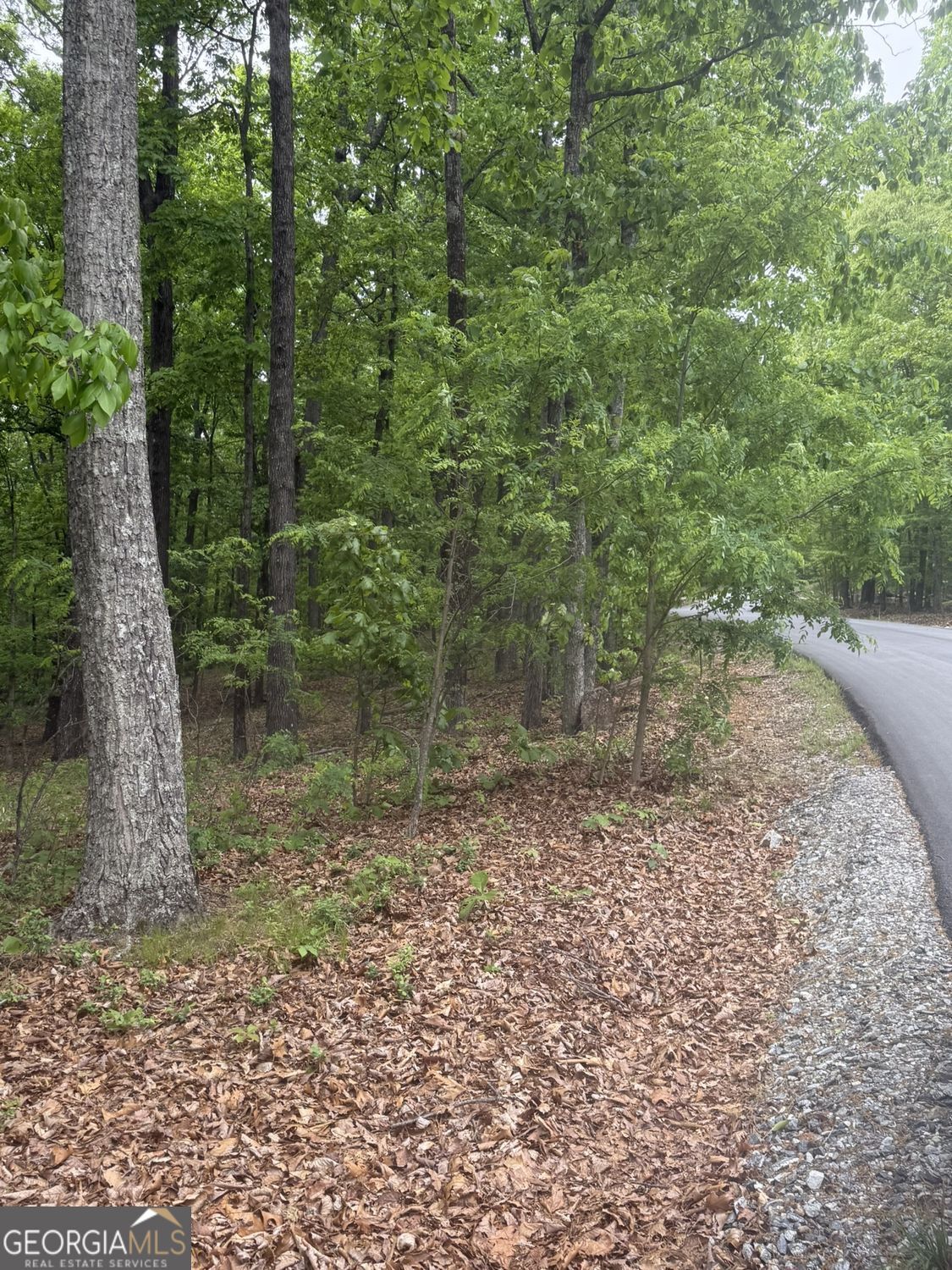 Lot 38 Mountainside Drive Property Photo 19