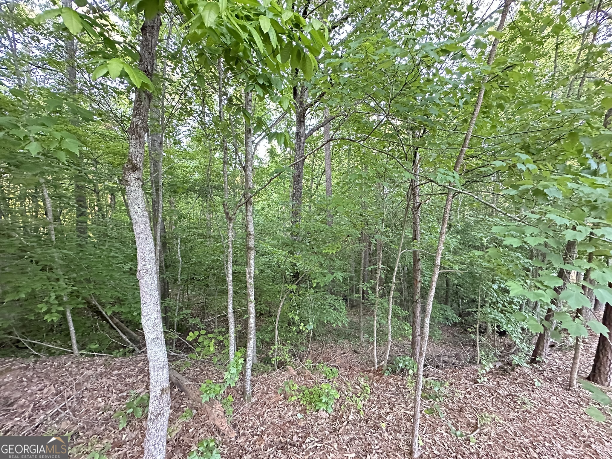 9550 Grande Drive Property Photo 6
