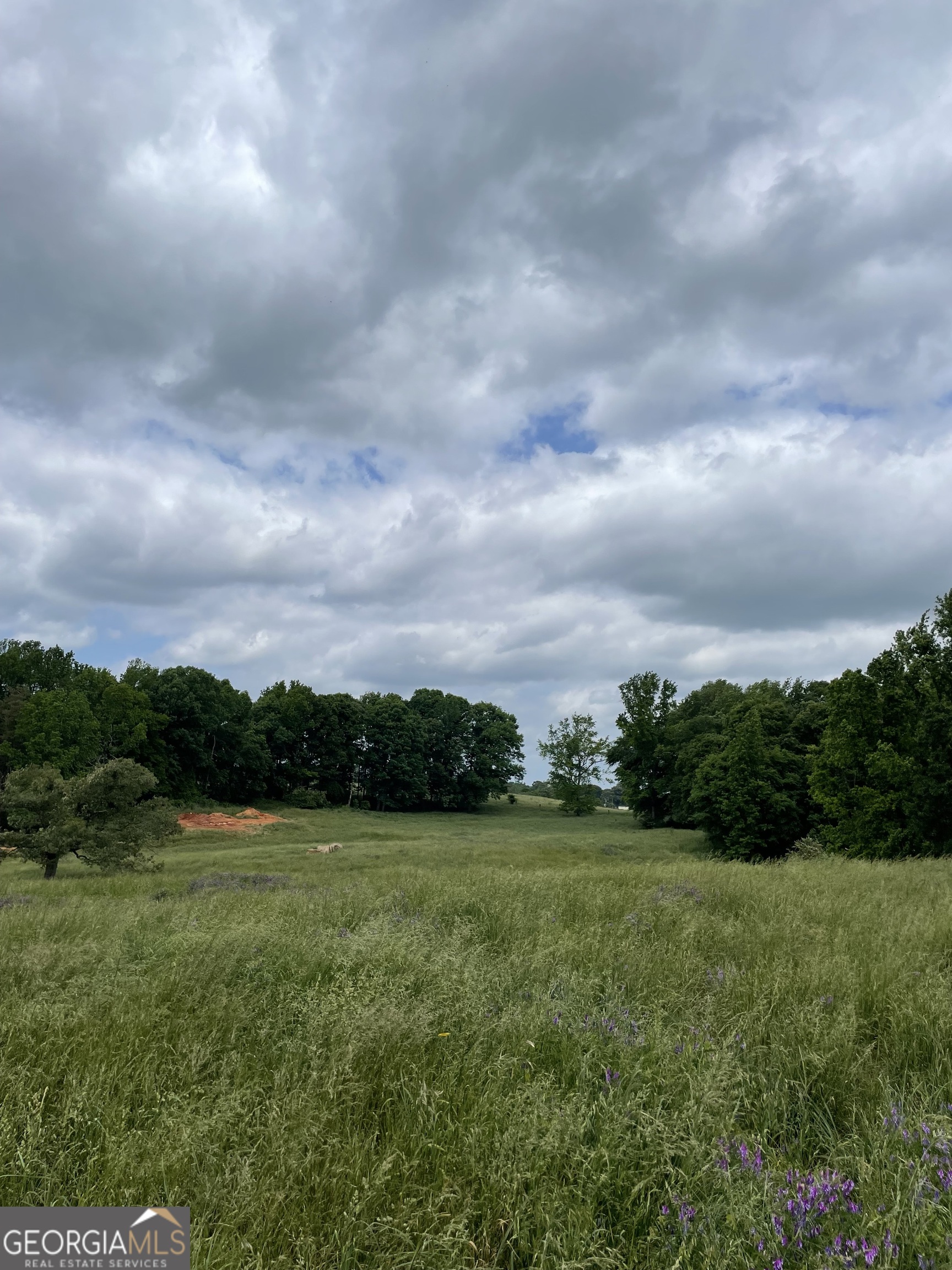 0 Quail Run Road Property Photo 6