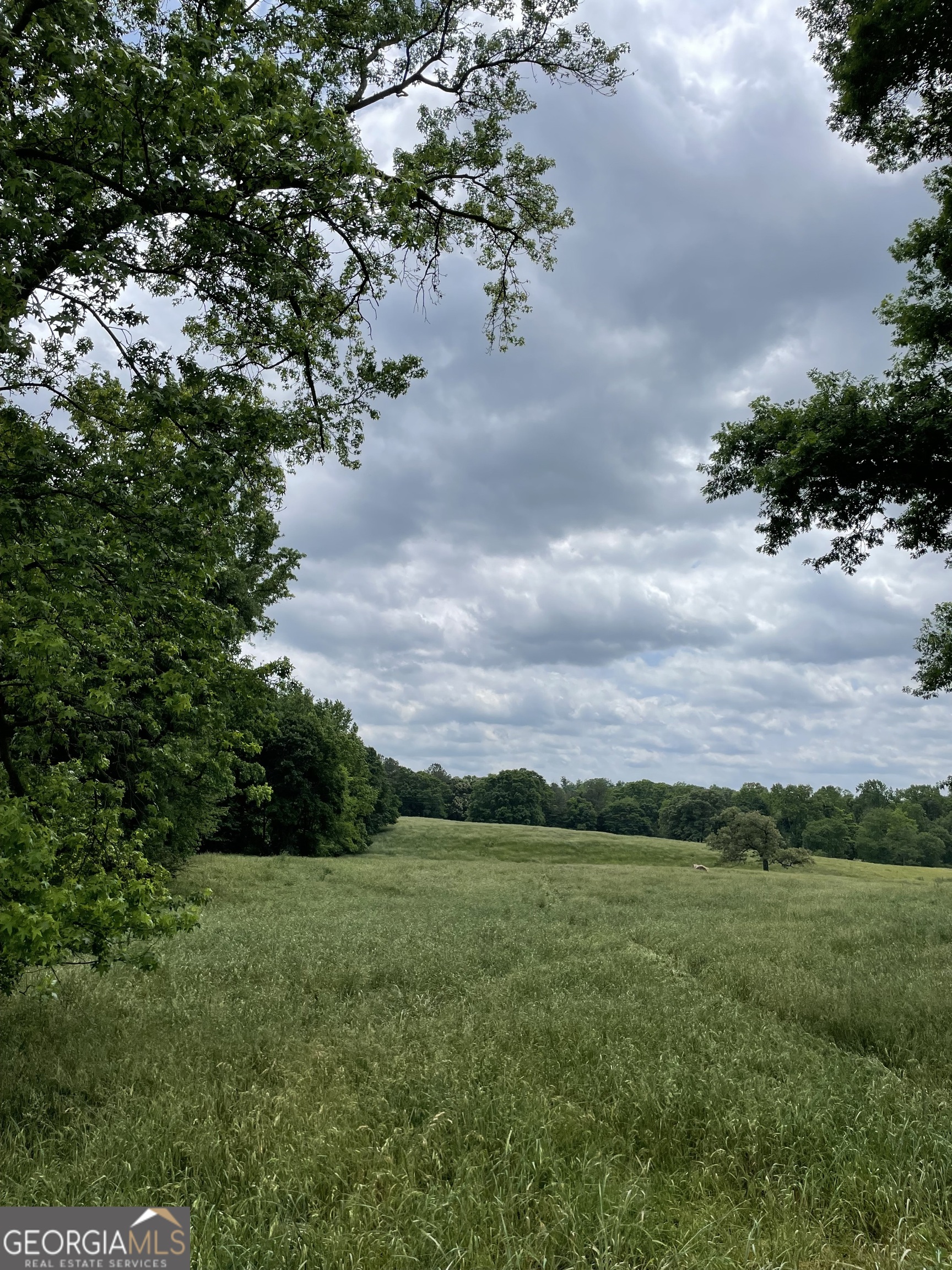 0 Quail Run Road Property Photo 8