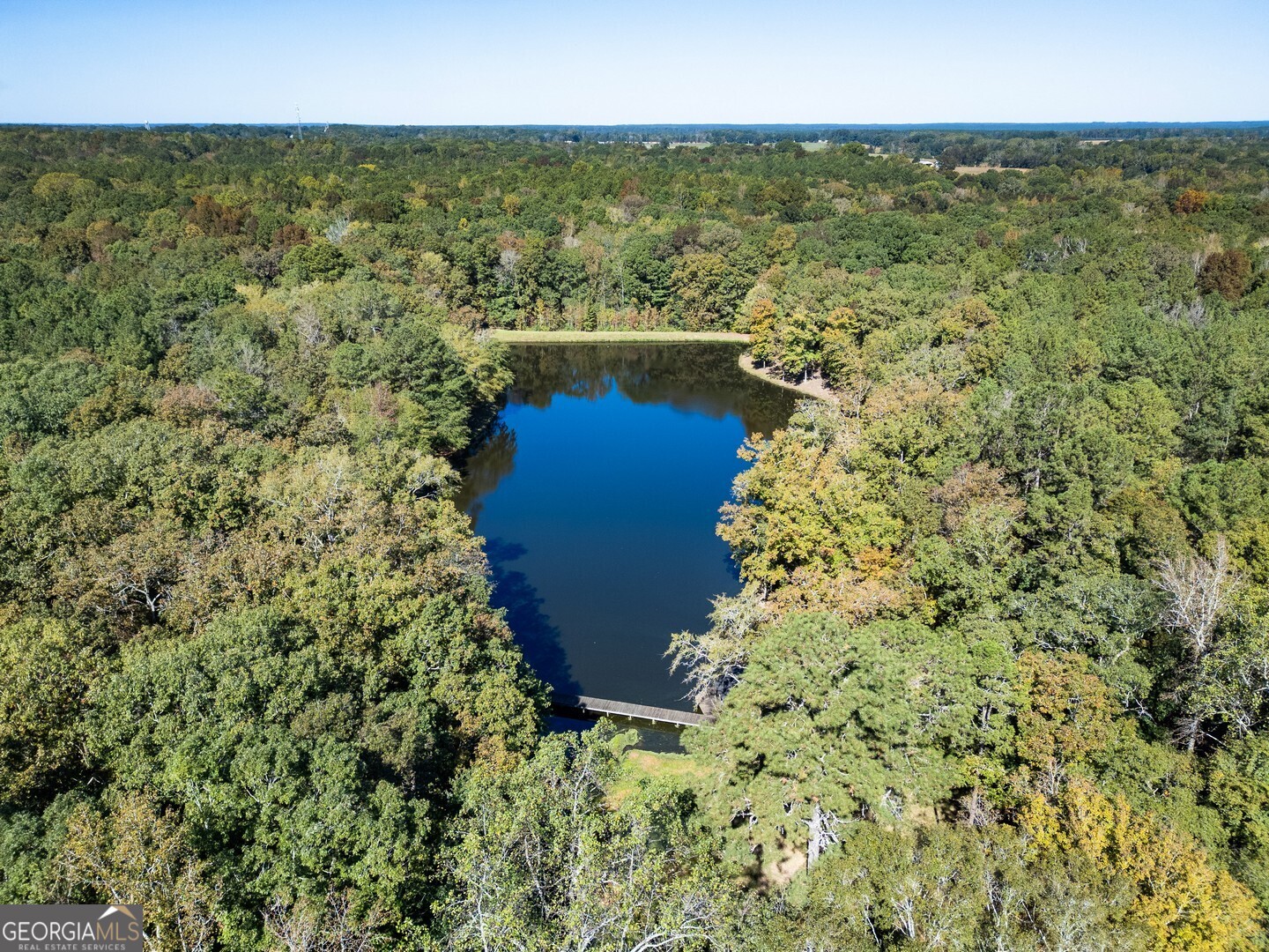 0 Ga Highway 142 # A Property Photo 1