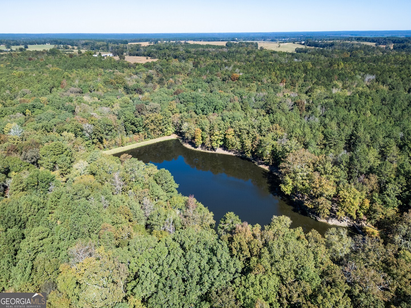 0 Ga Highway 142 # A Property Photo 4