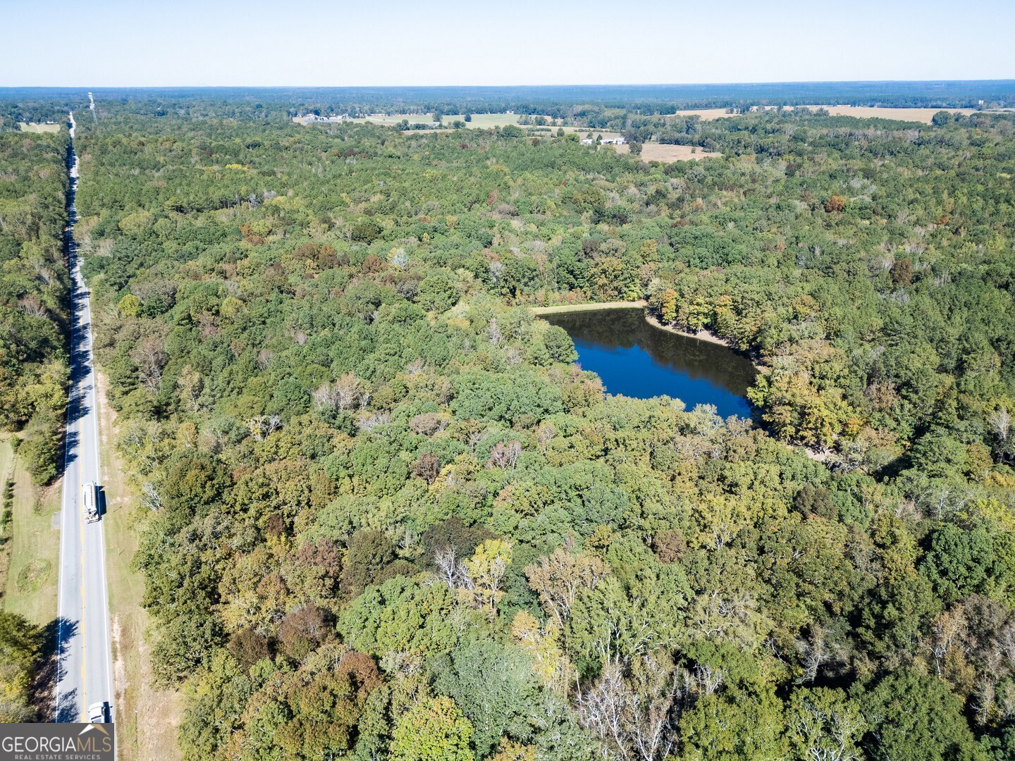 0 Ga Highway 142 # A Property Photo 6