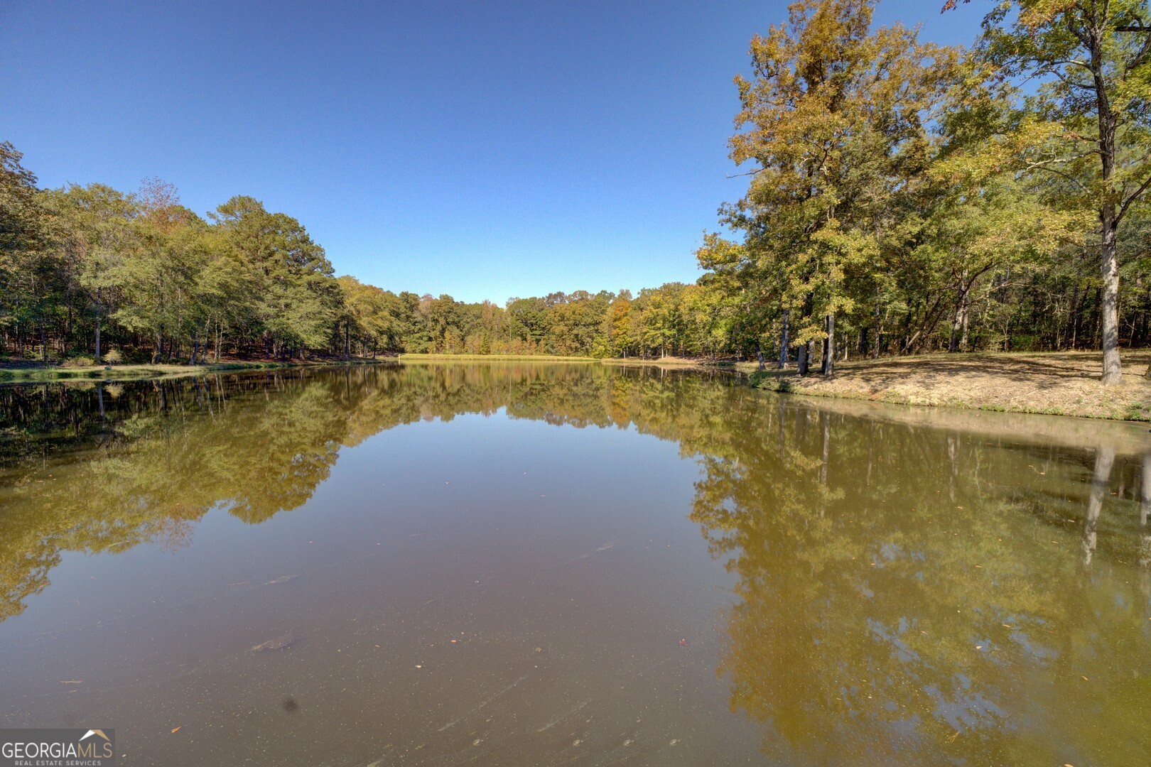 0 Ga Highway 142 # A Property Photo 10
