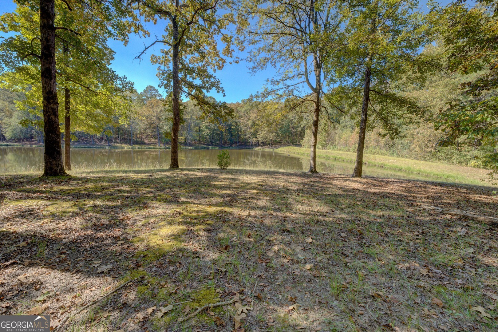 0 Ga Highway 142 # A Property Photo 13