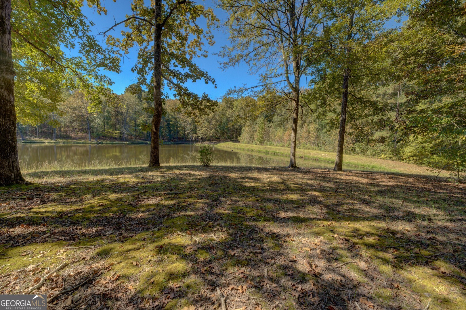 0 Ga Highway 142 # A Property Photo 14
