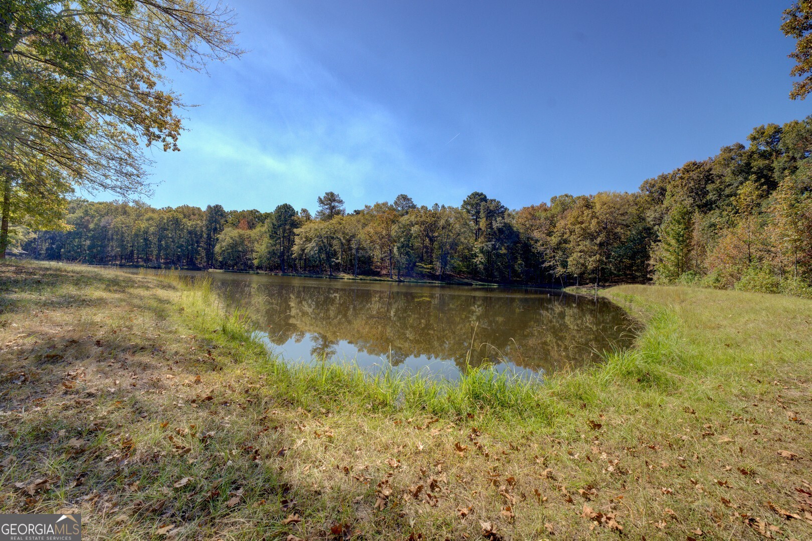 0 Ga Highway 142 # A Property Photo 15