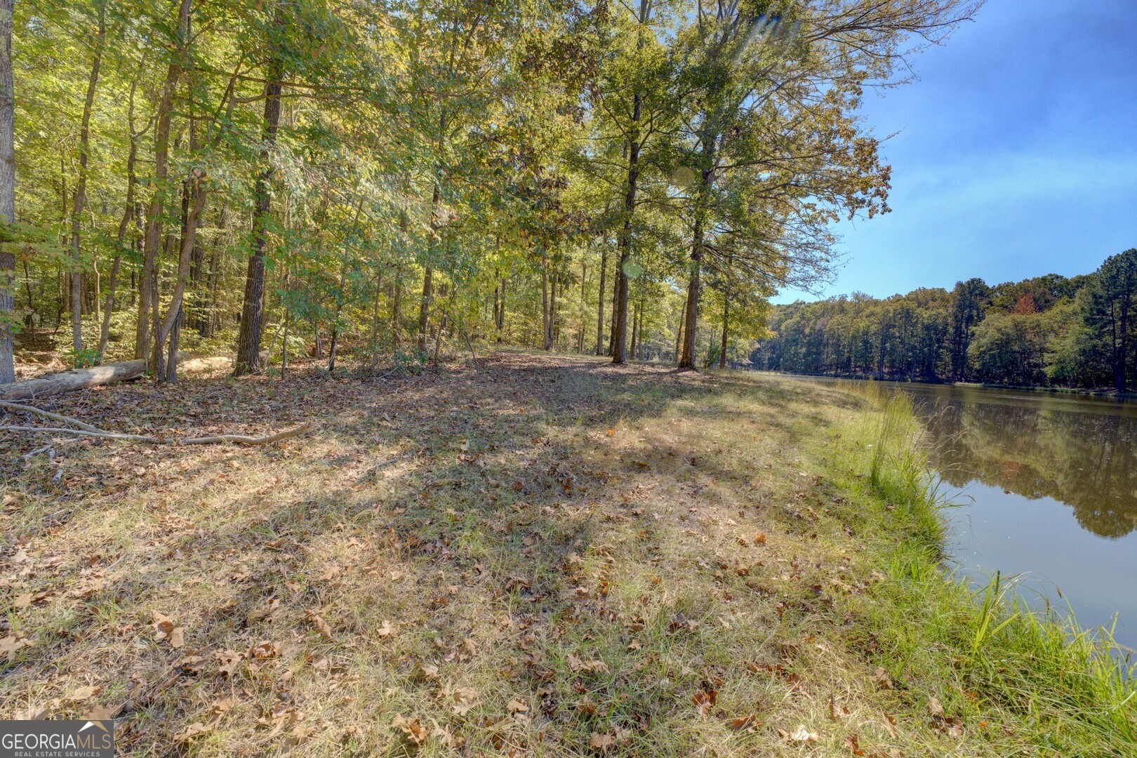 0 Ga Highway 142 # A Property Photo 16